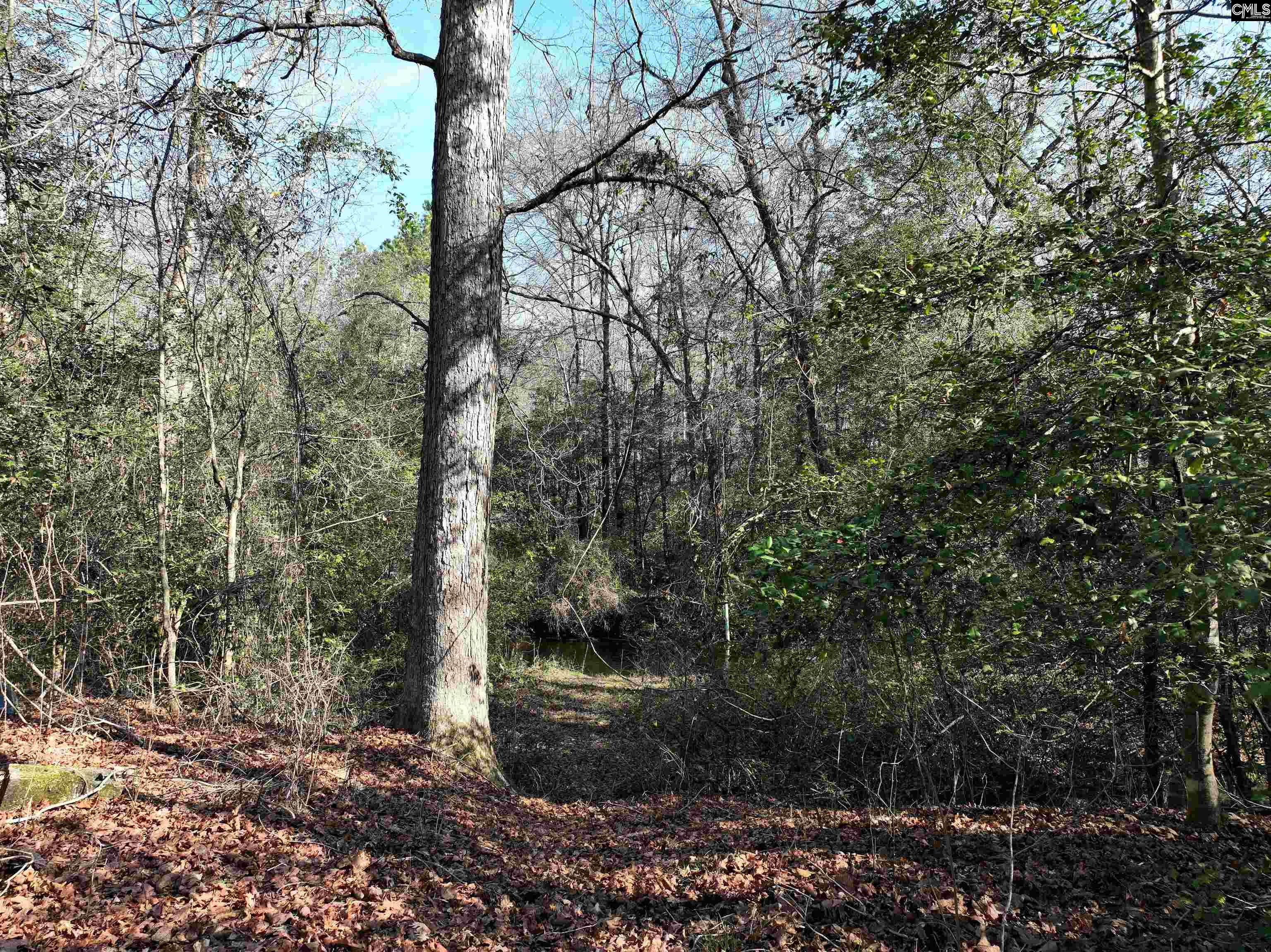  Lots For Sale - 0000 Salley, Salley, SC - 5 