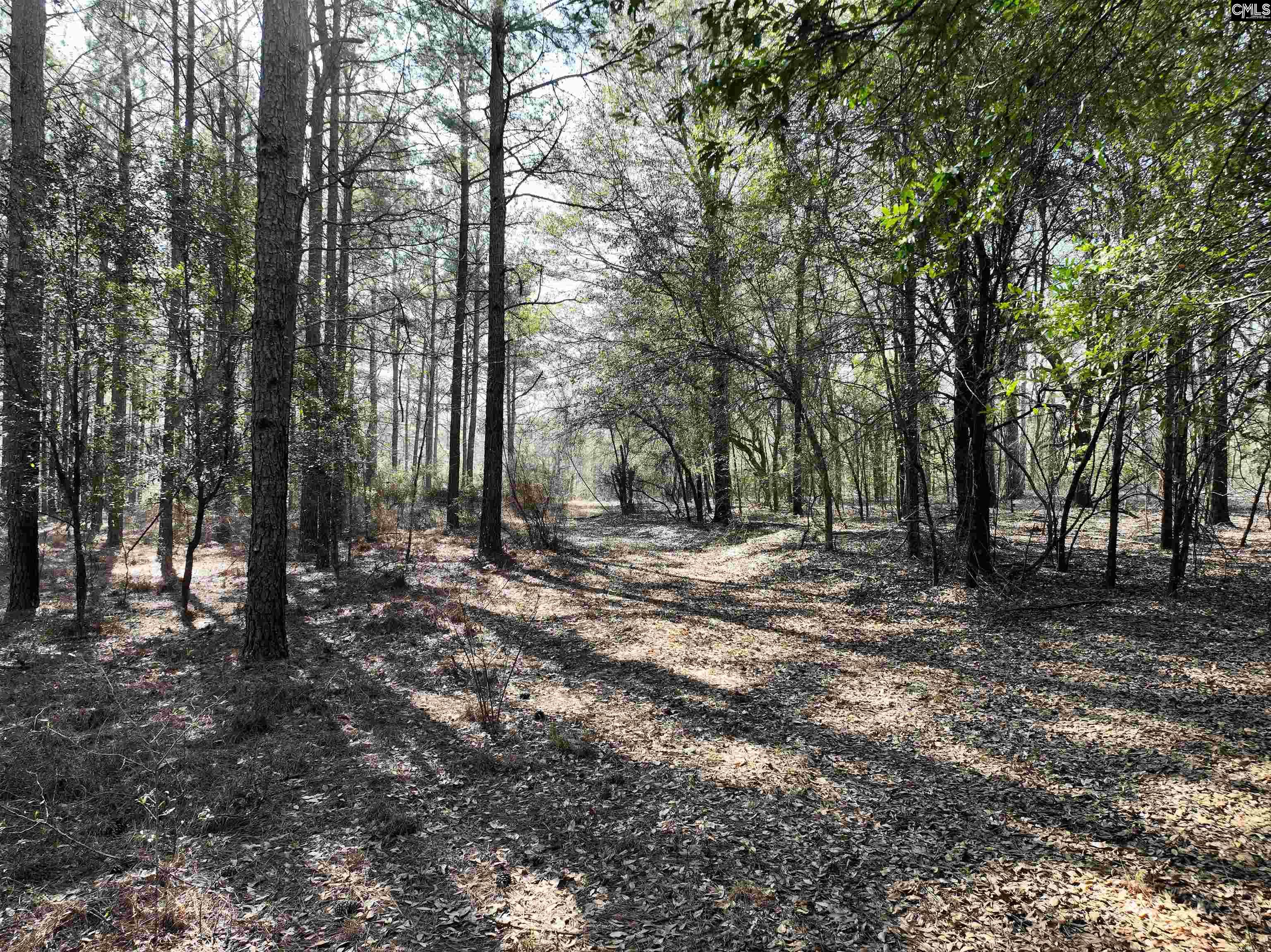  Lots For Sale - 0000 Salley, Salley, SC - 9 