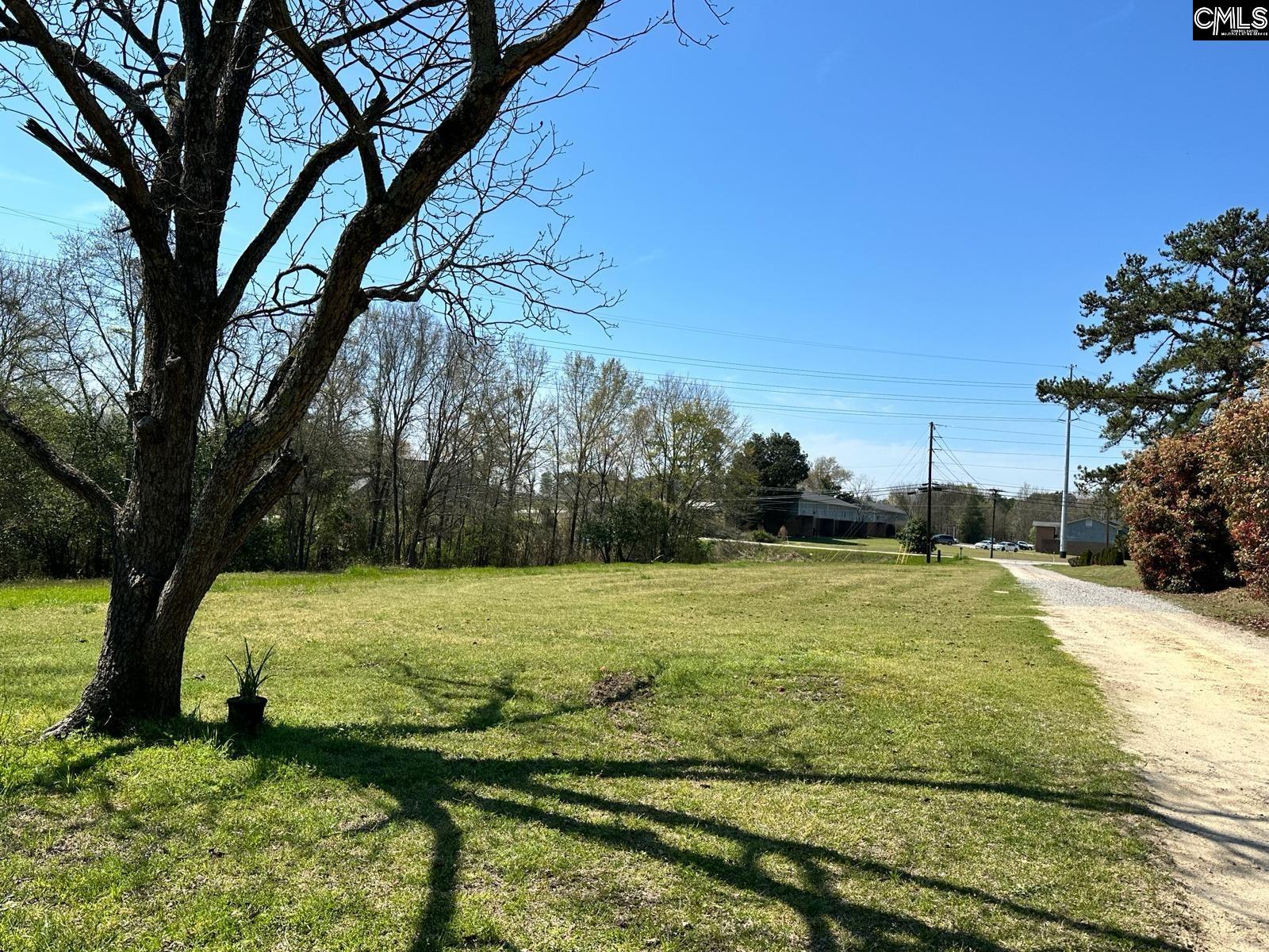 142 OLD CHAPIN ROAD, LEXINGTON, SC 29072 Southern Dreams Realty