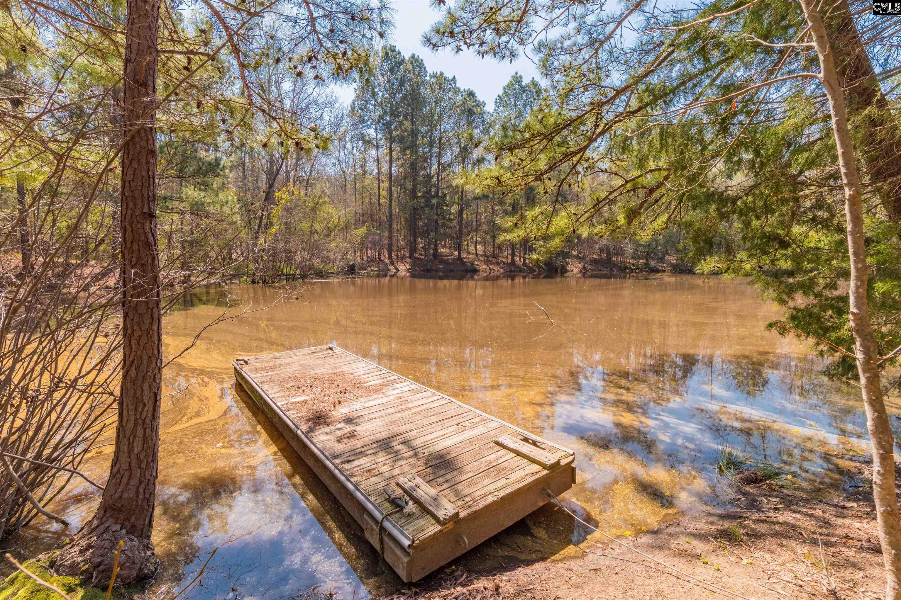 Counts Ferry Road Lot 9, Lexington, South Carolina image 11