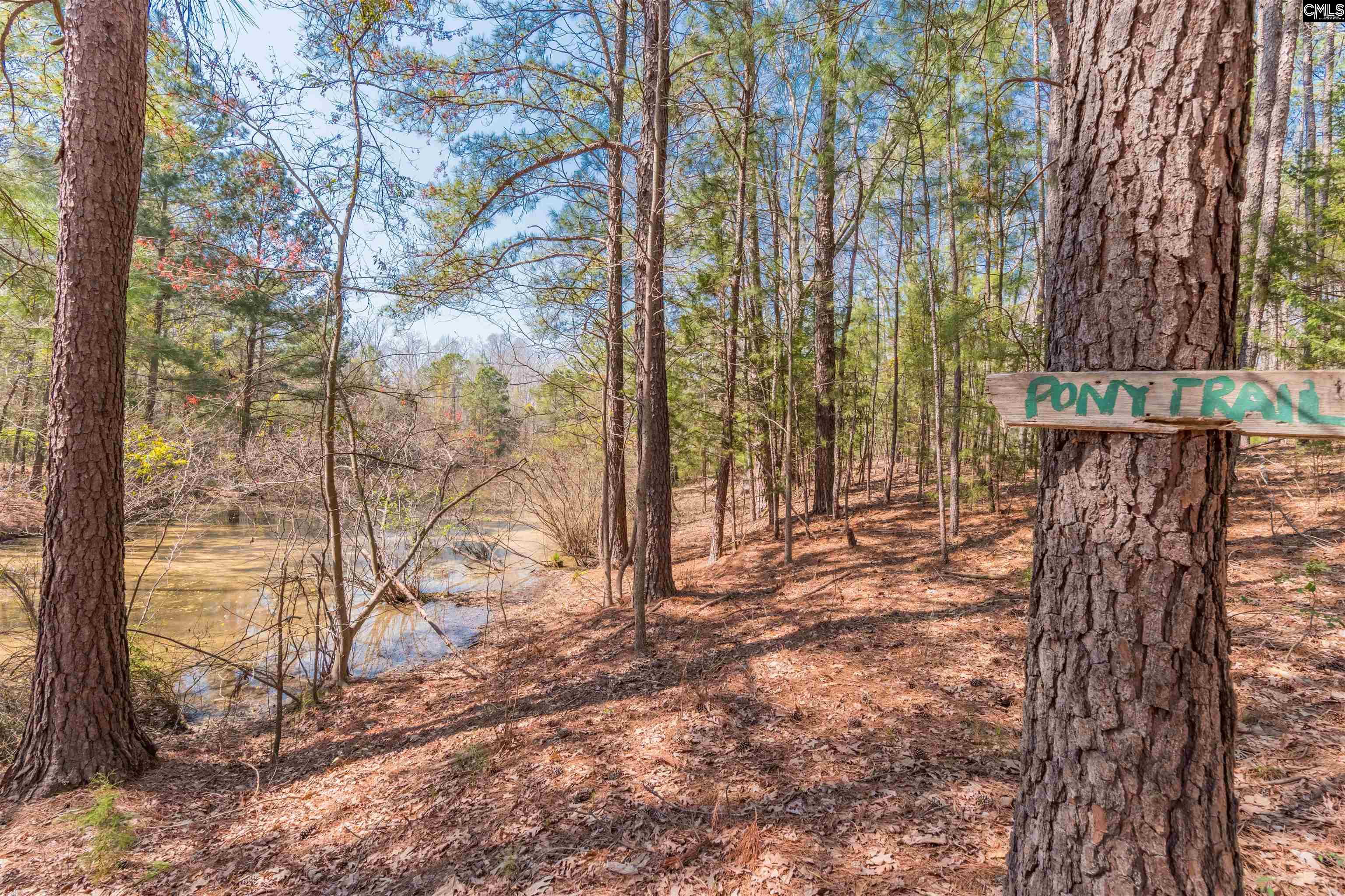 Counts Ferry Road Lot 9, Lexington, South Carolina image 10