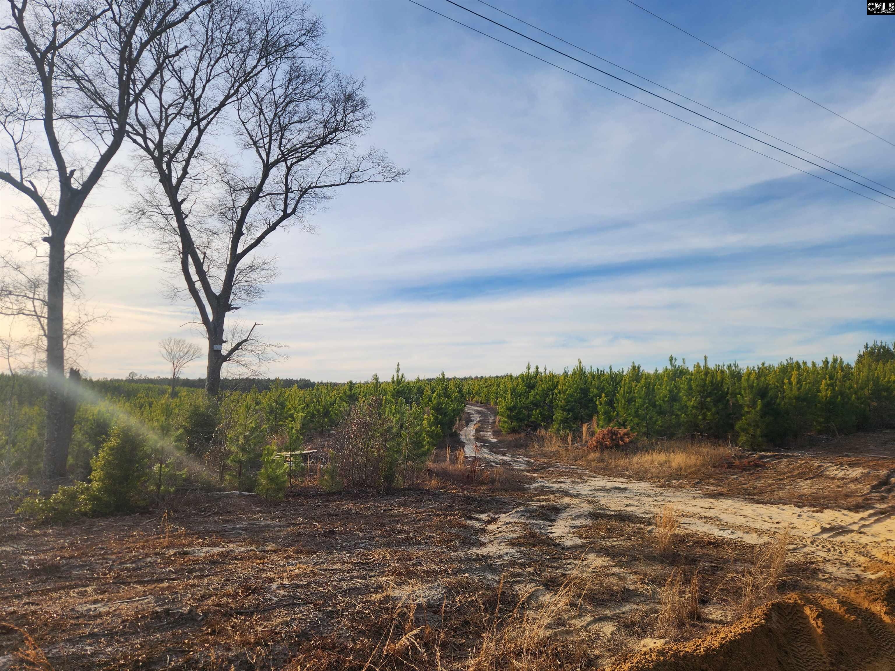 BCE 9A Kelly Day Road UNIT BCE 9A Gilbert, SC 29123