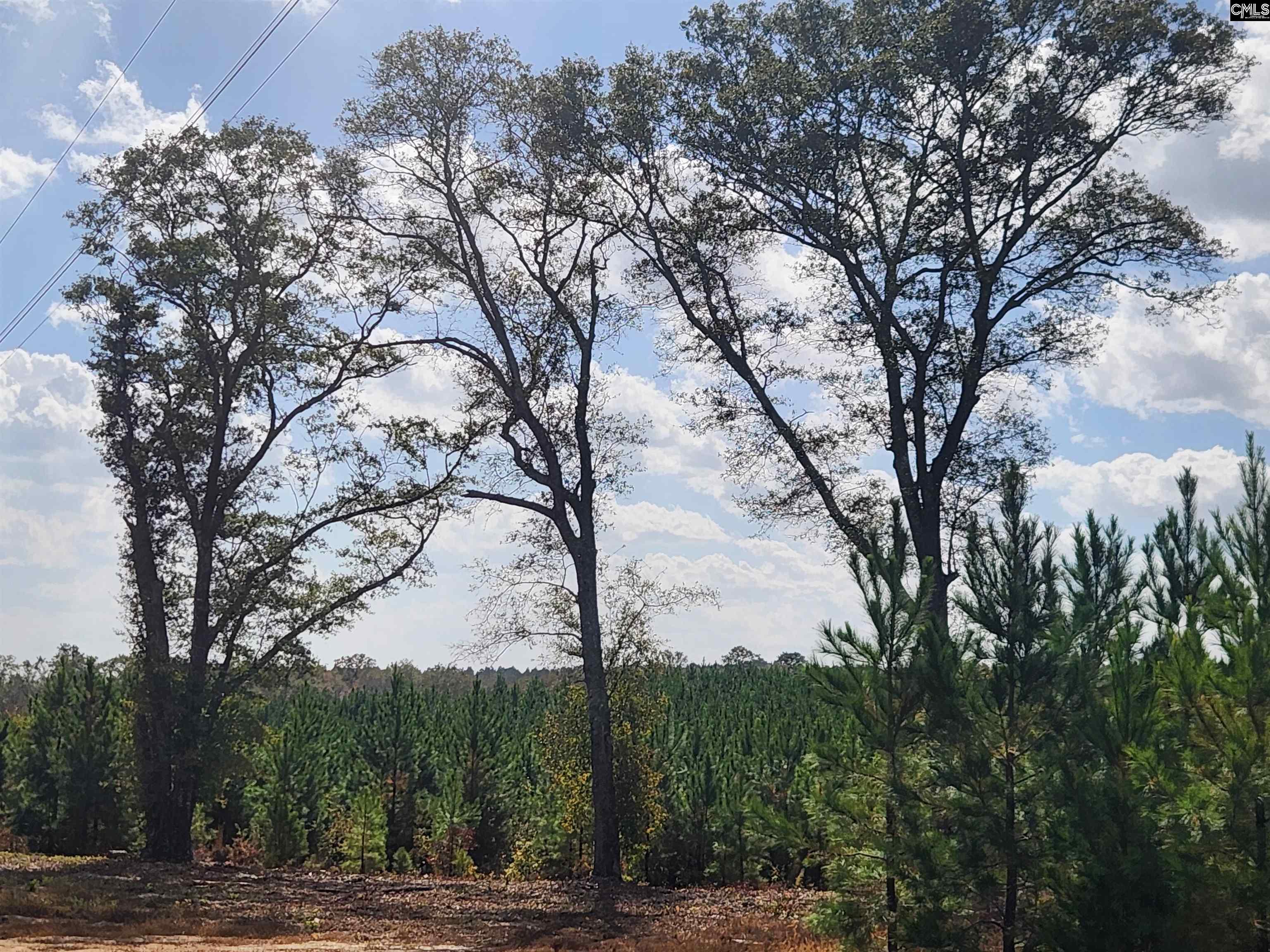 BCE 9A Kelly Day Road UNIT BCE 9A Gilbert, SC 29123