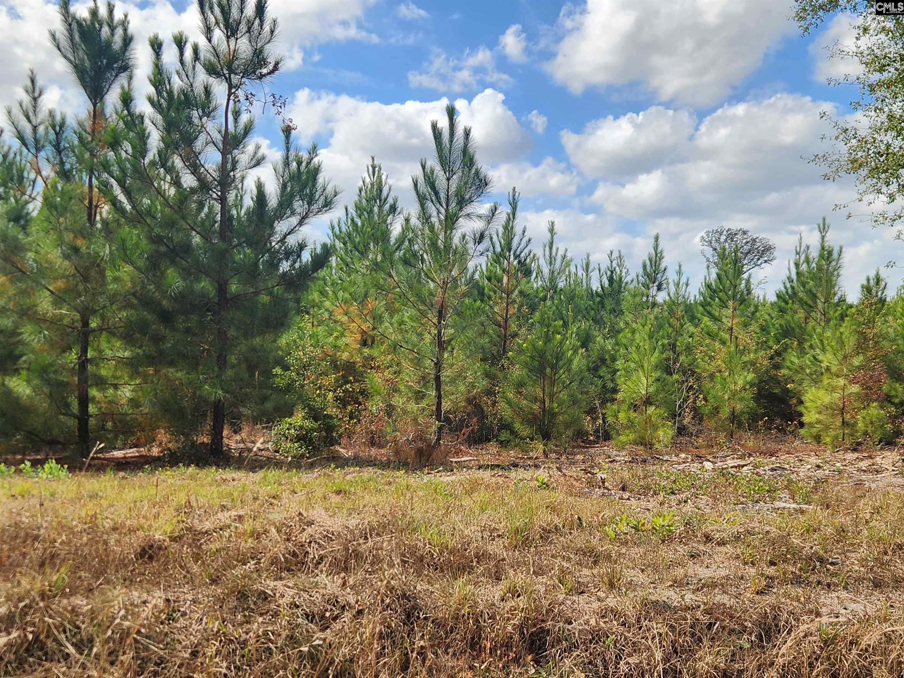 BCE 9A Kelly Day Road UNIT BCE 9A Gilbert, SC 29123