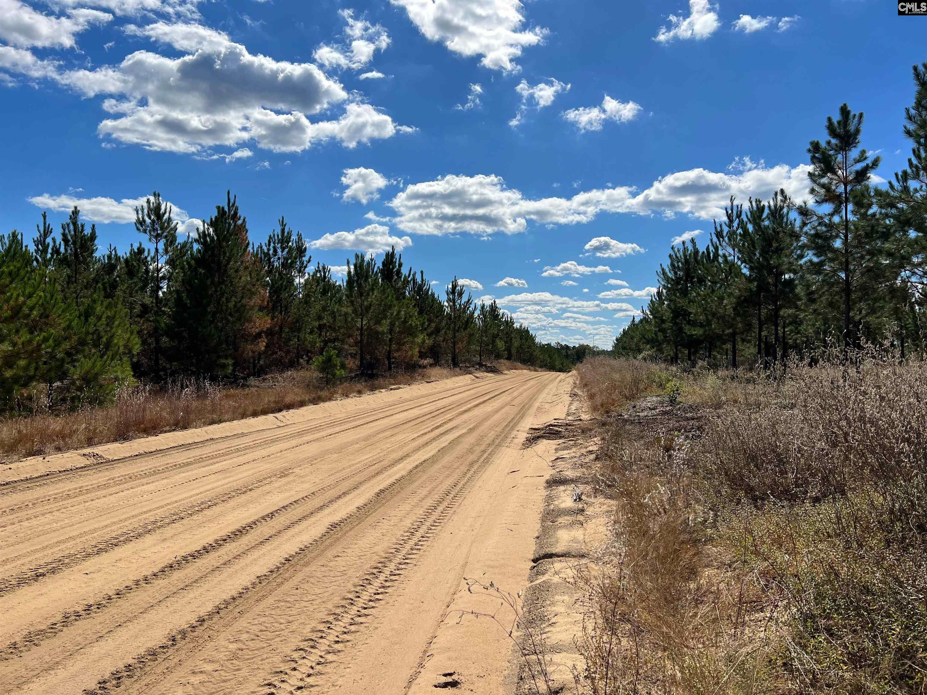 BCE 9A Kelly Day Road UNIT BCE 9A Gilbert, SC 29123