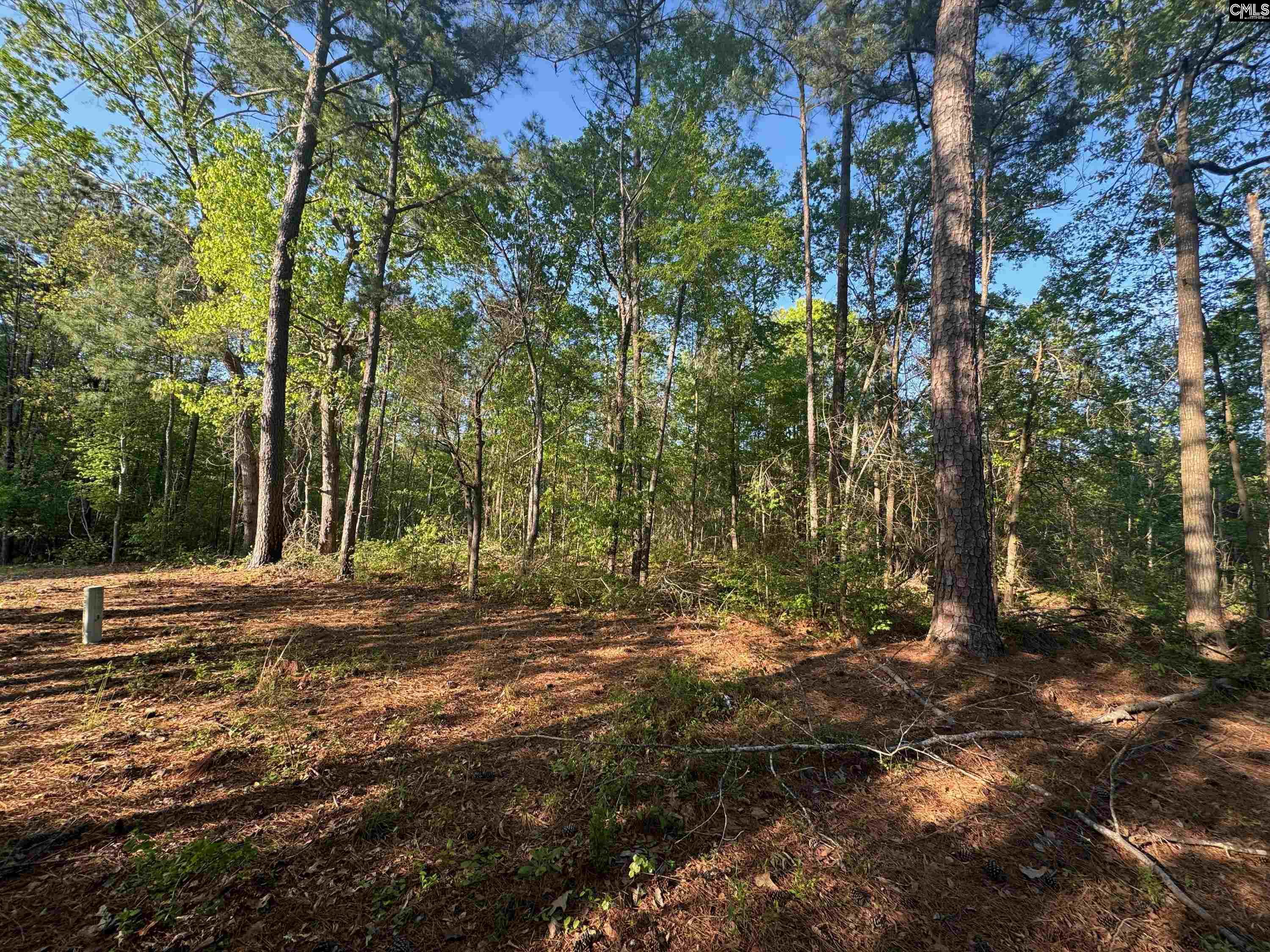 HOLLYWOOD HILLS Lots For Sale - 500 Woodcrest, Columbia, SC - 0 