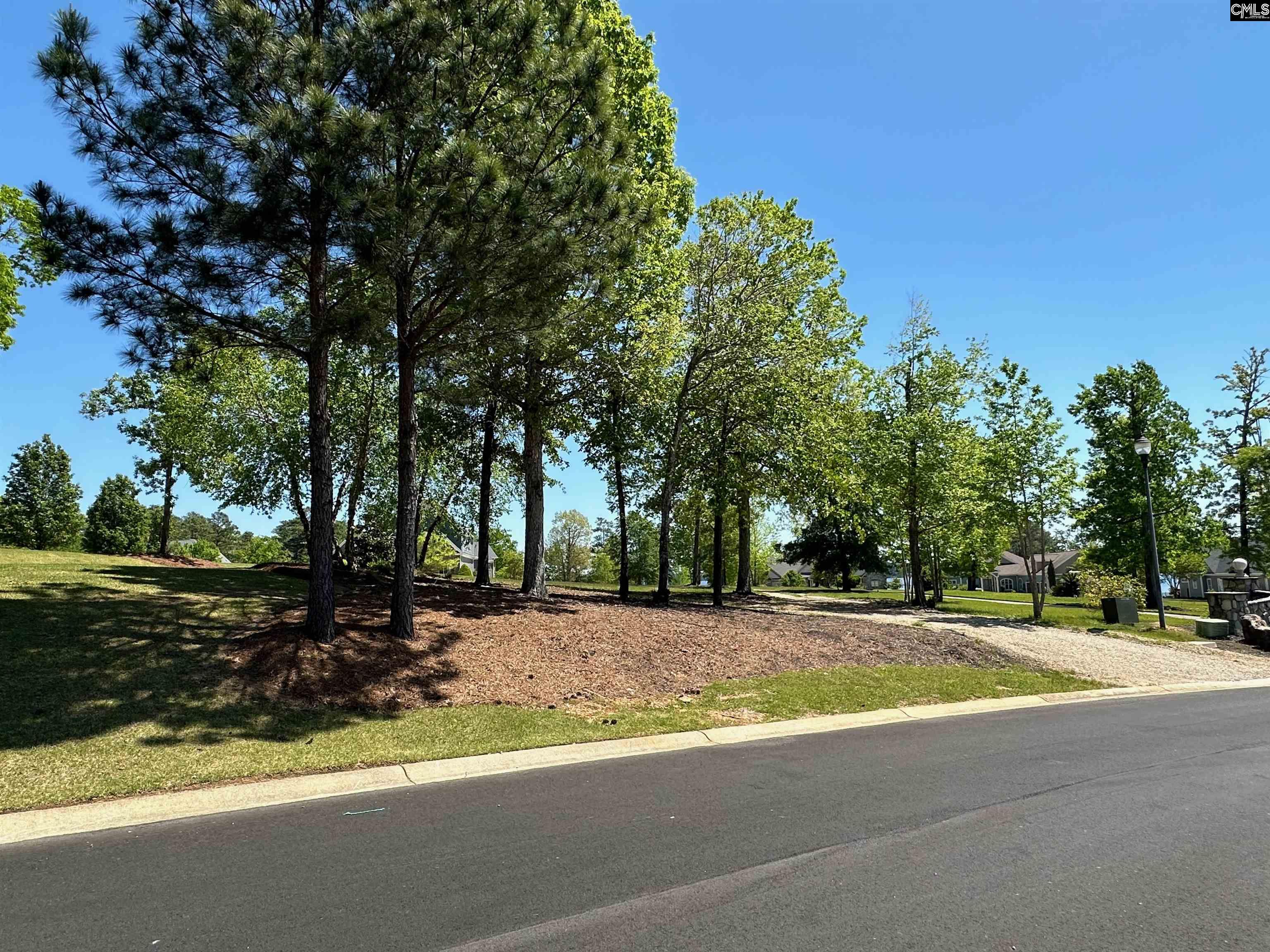 PINTAIL POINT Lots For Sale - 213 PINTAIL LAKE, Gilbert, SC - 9 