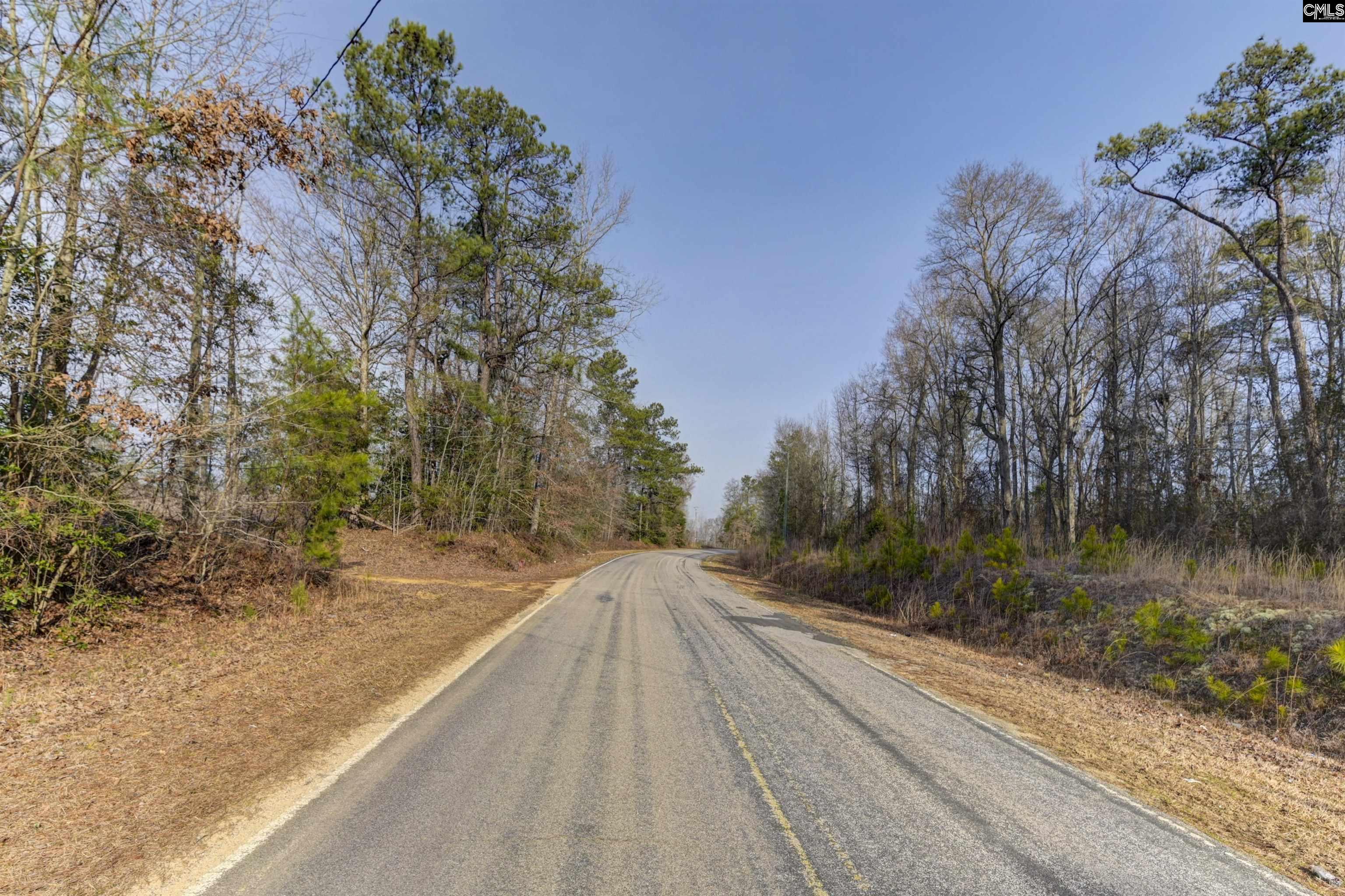  Lots For Sale - 703 Neds Creek, Kershaw, SC - 2 