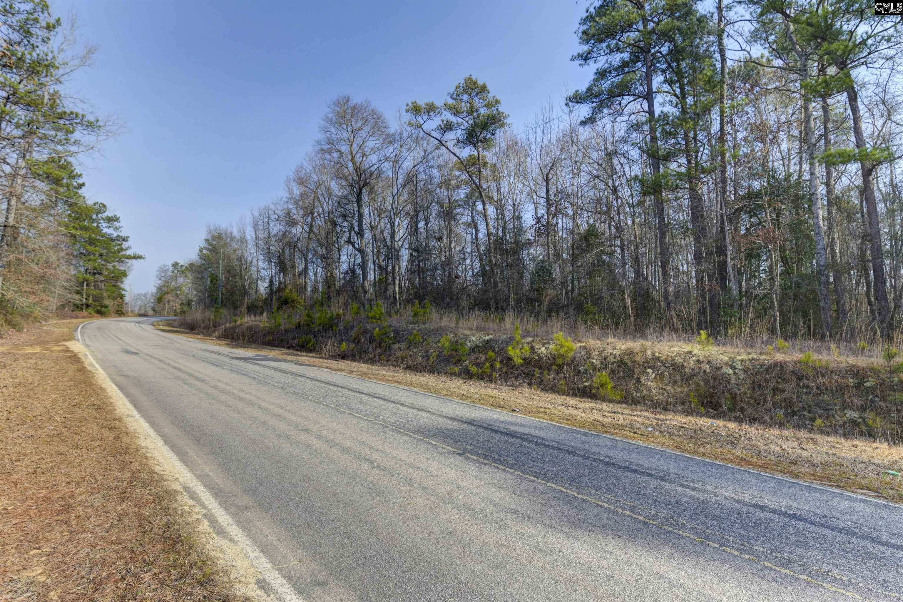 Lots For Sale - 703 Neds Creek, Kershaw, SC - 3 