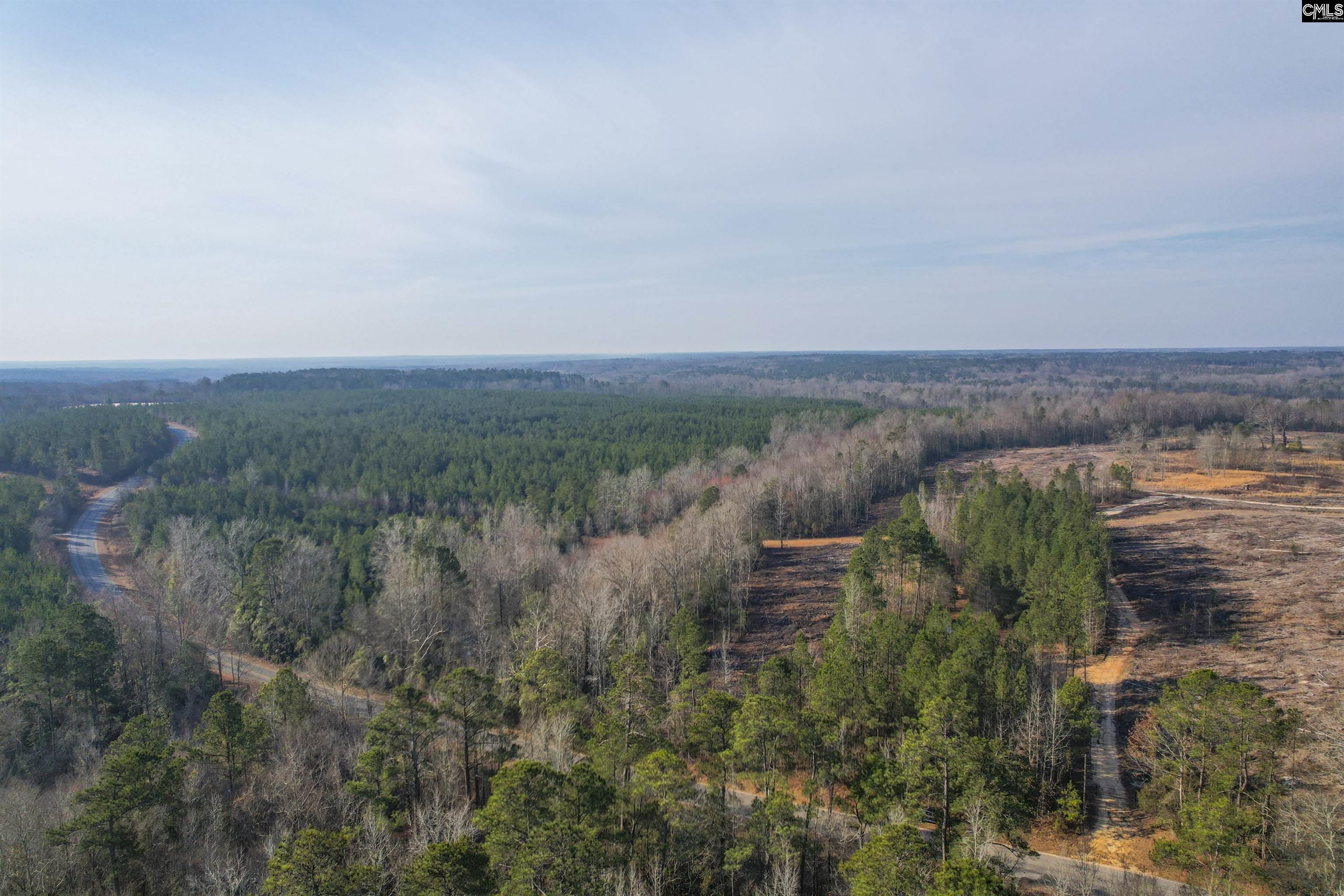  Lots For Sale - 703 Neds Creek, Kershaw, SC - 4 