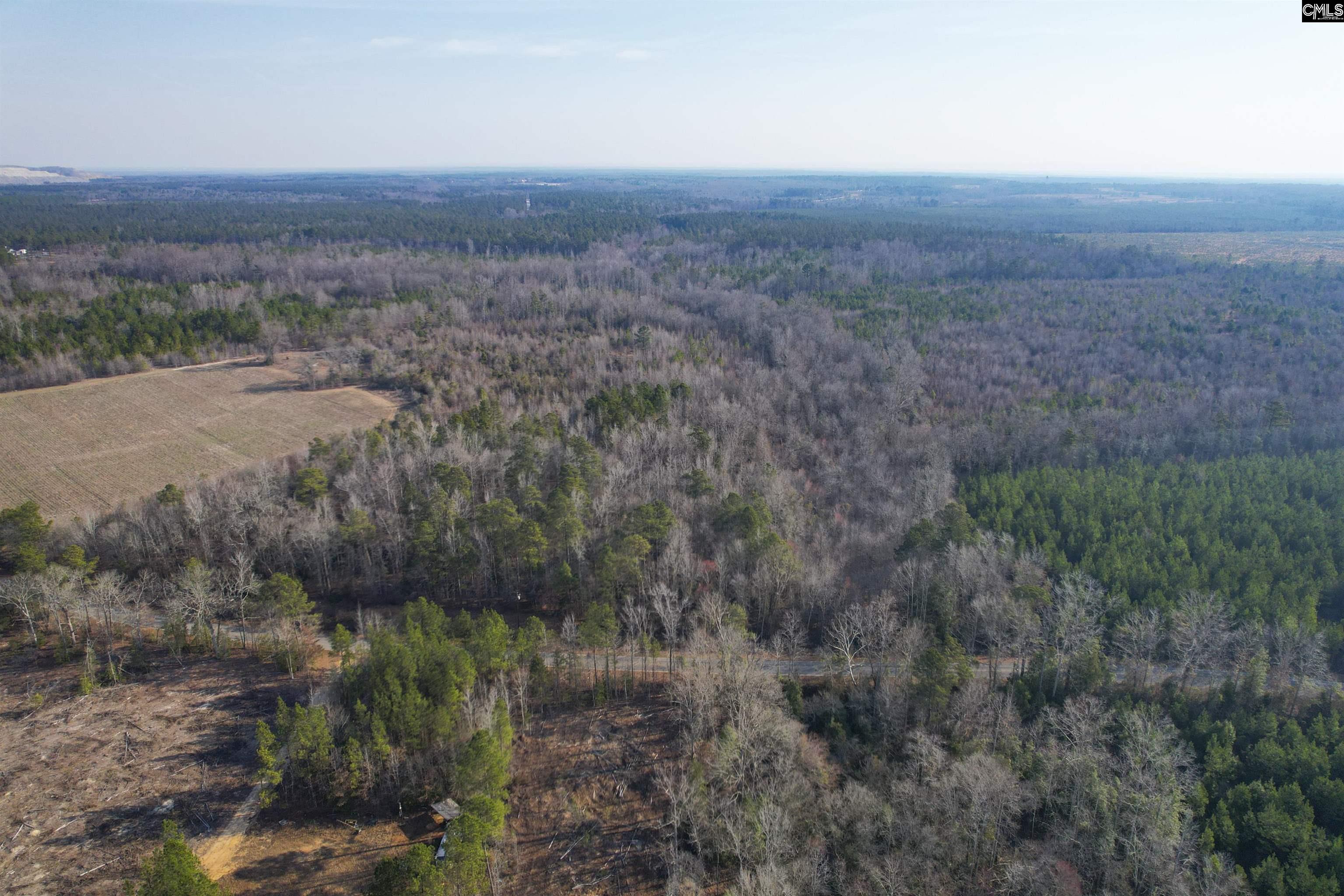  Lots For Sale - 703 Neds Creek, Kershaw, SC - 8 
