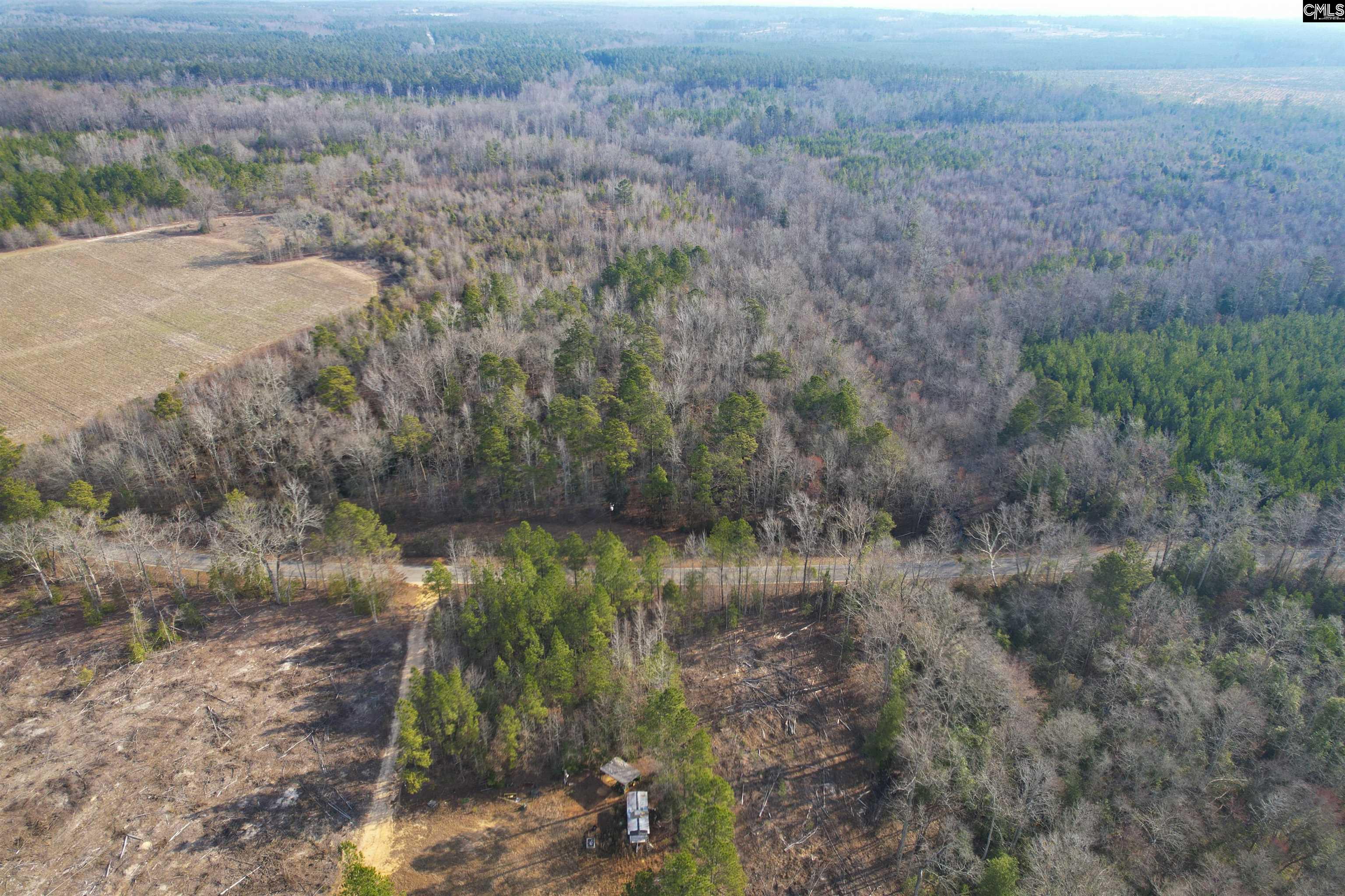  Lots For Sale - 703 Neds Creek, Kershaw, SC - 25 