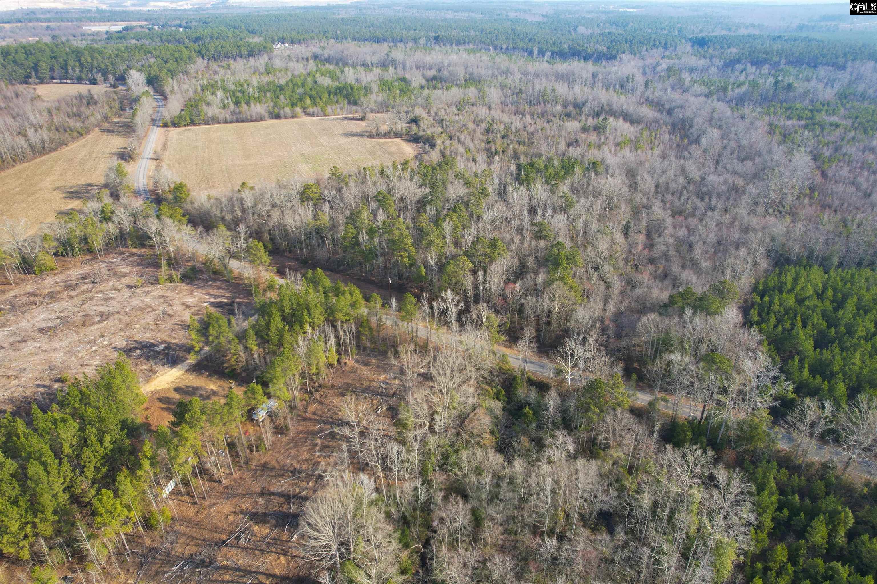  Lots For Sale - 703 Neds Creek, Kershaw, SC - 27 