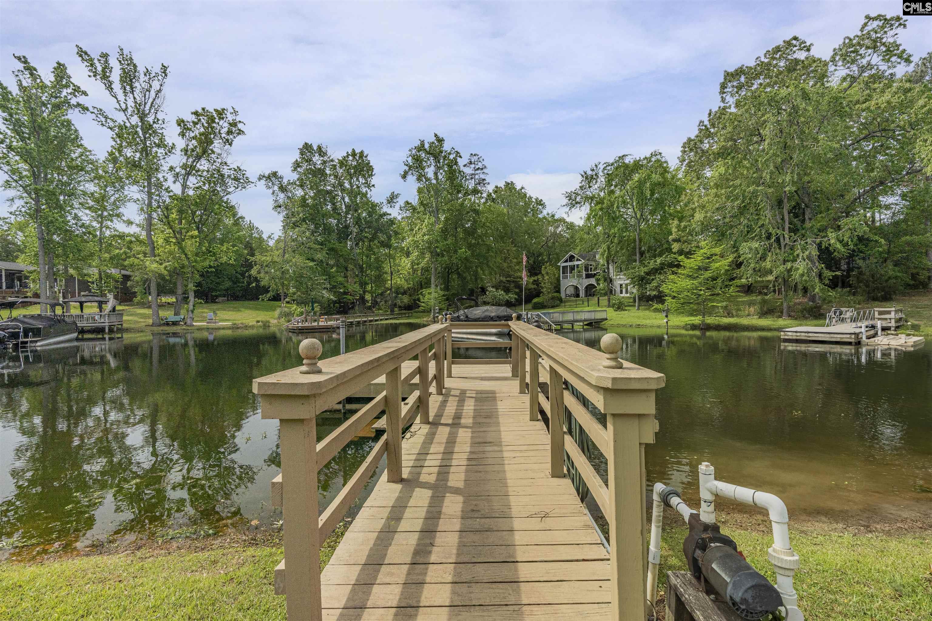 604 Pine Meadow Court, Chapin, SC 29036 Listing Photo 38