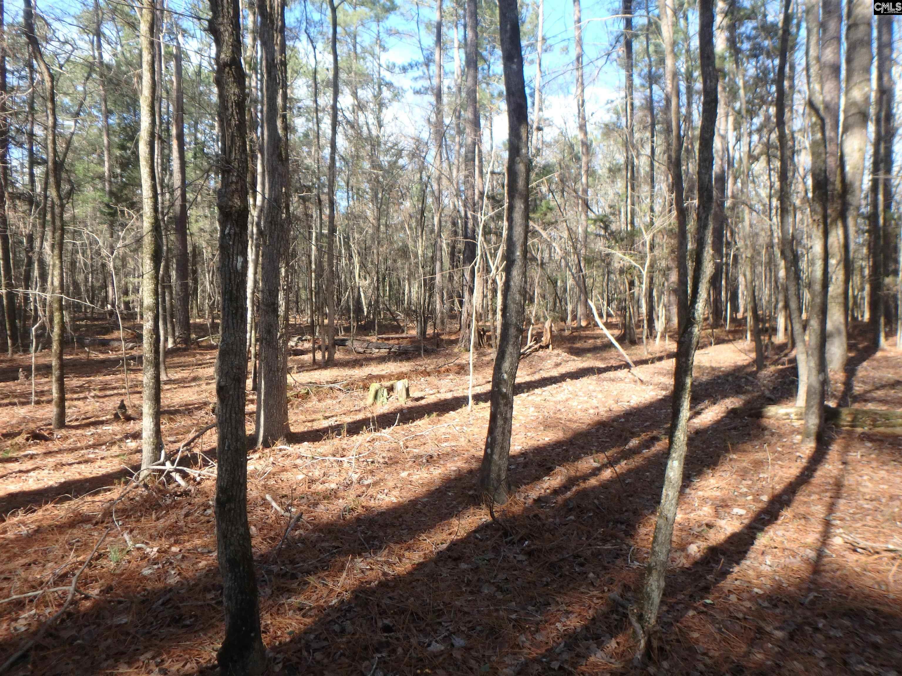  Lots For Sale -  Amicks Ferry, Chapin, SC - 5 