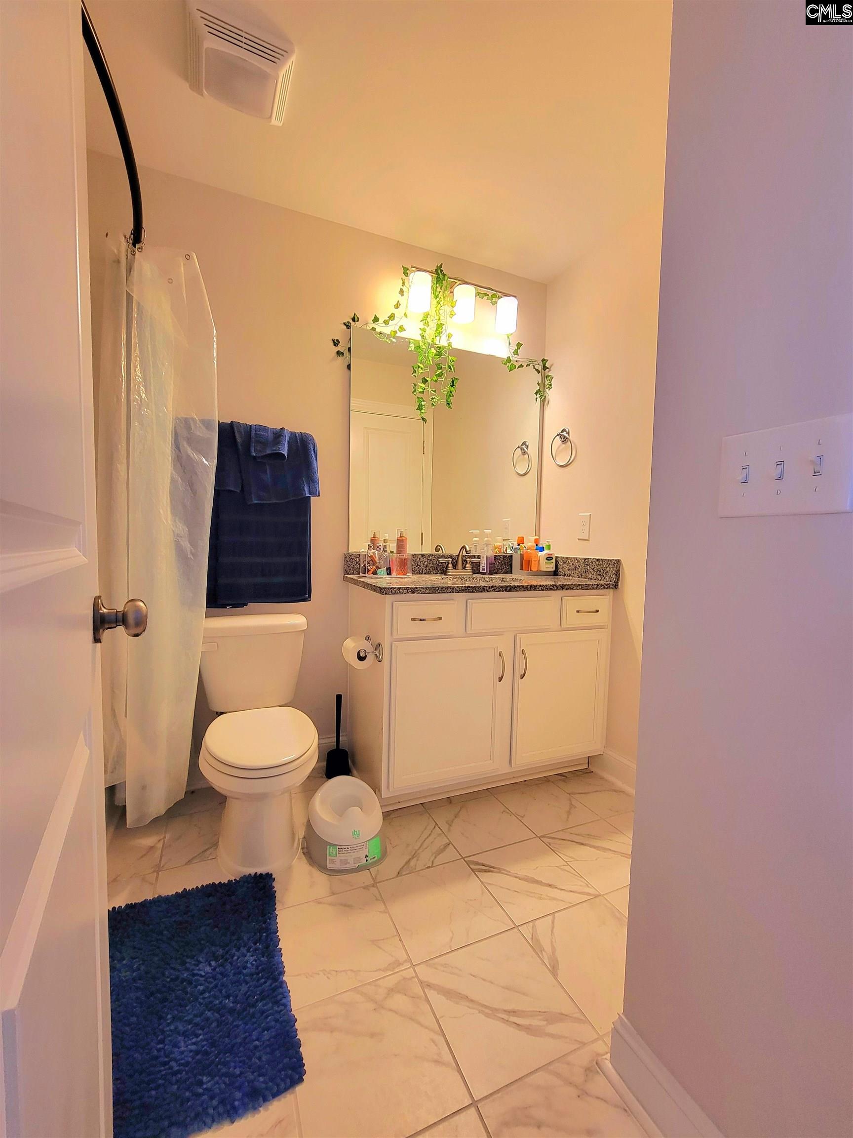 8 Bellside Lane, Elgin, South Carolina for 485,000