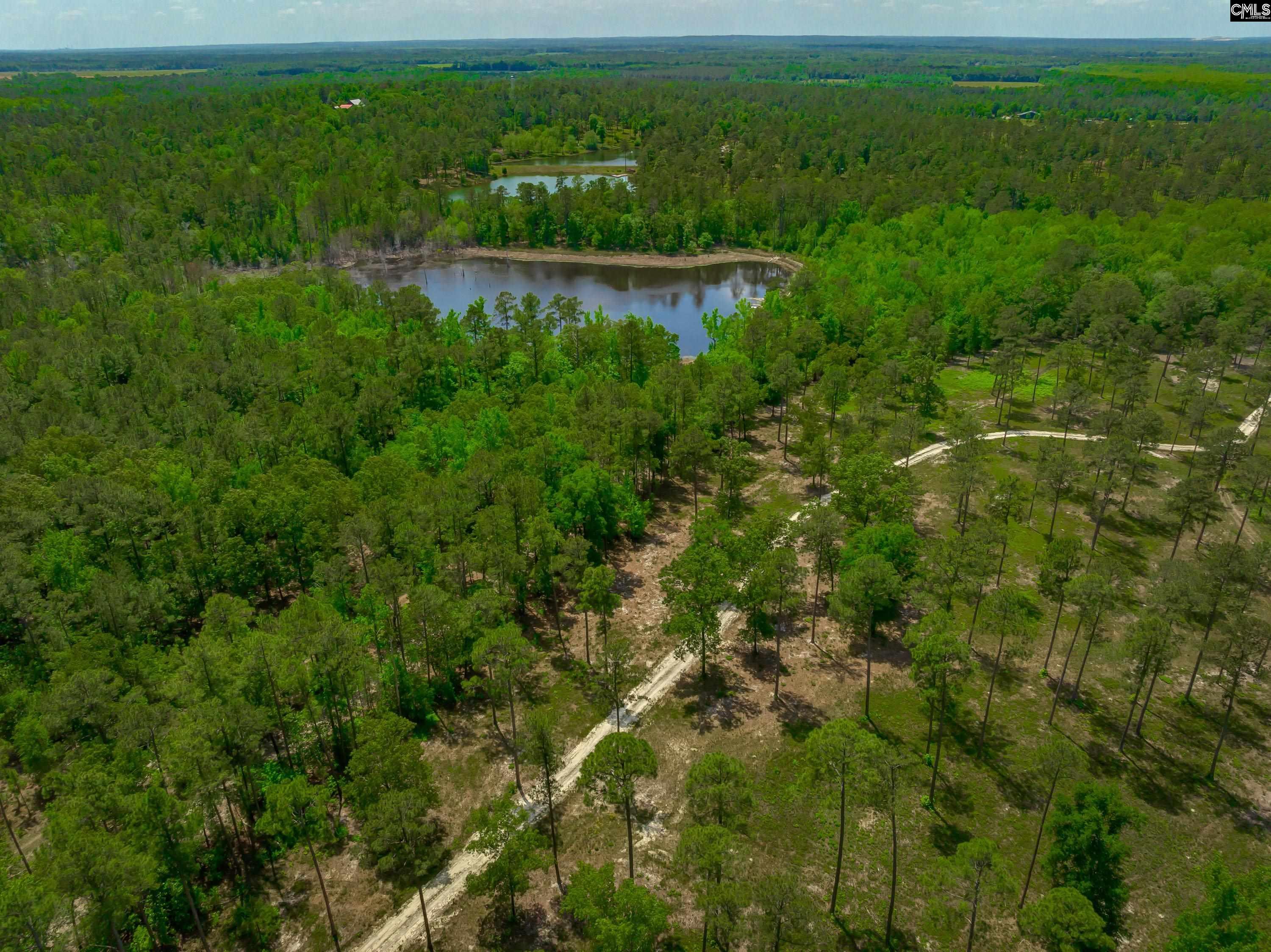 1626-05 Sumter Highway, Rembert, South Carolina image 1