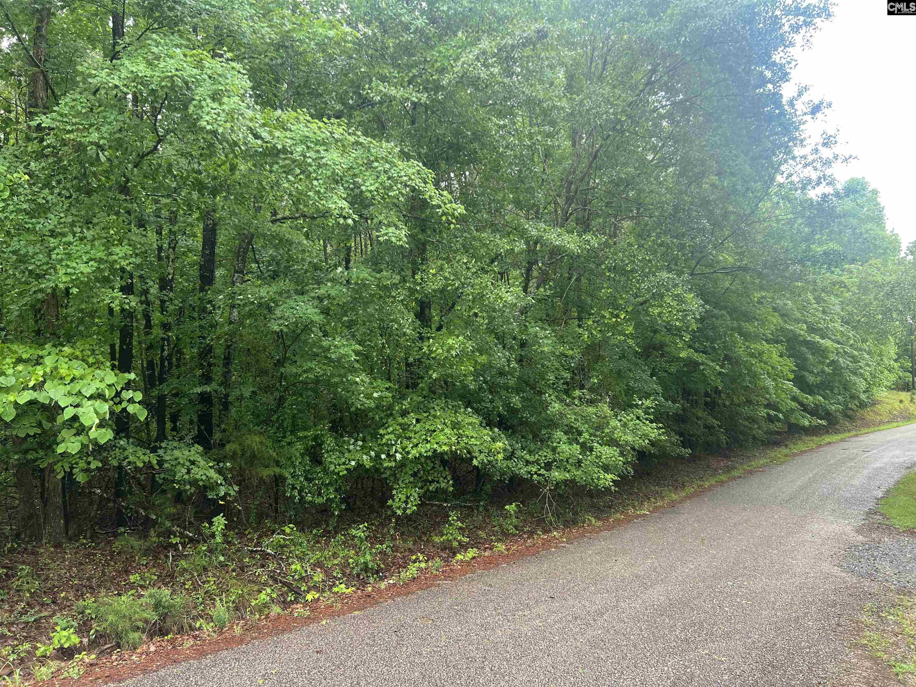 Great North Road Unit Lot 4-a Winnsboro, SC 29180