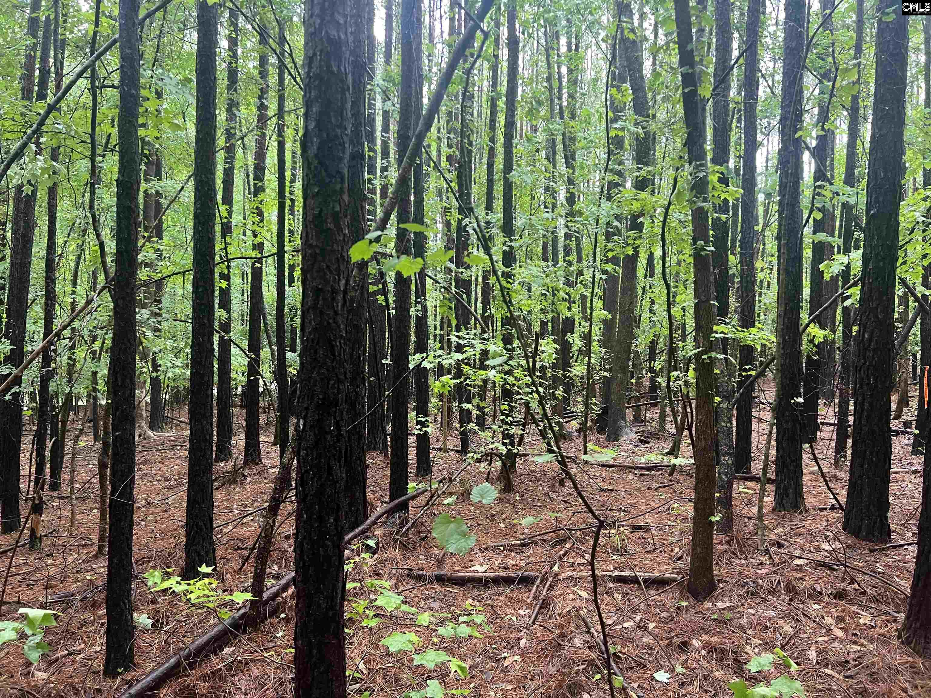 Great North Road Unit Lot 4-c Winnsboro, SC 29180