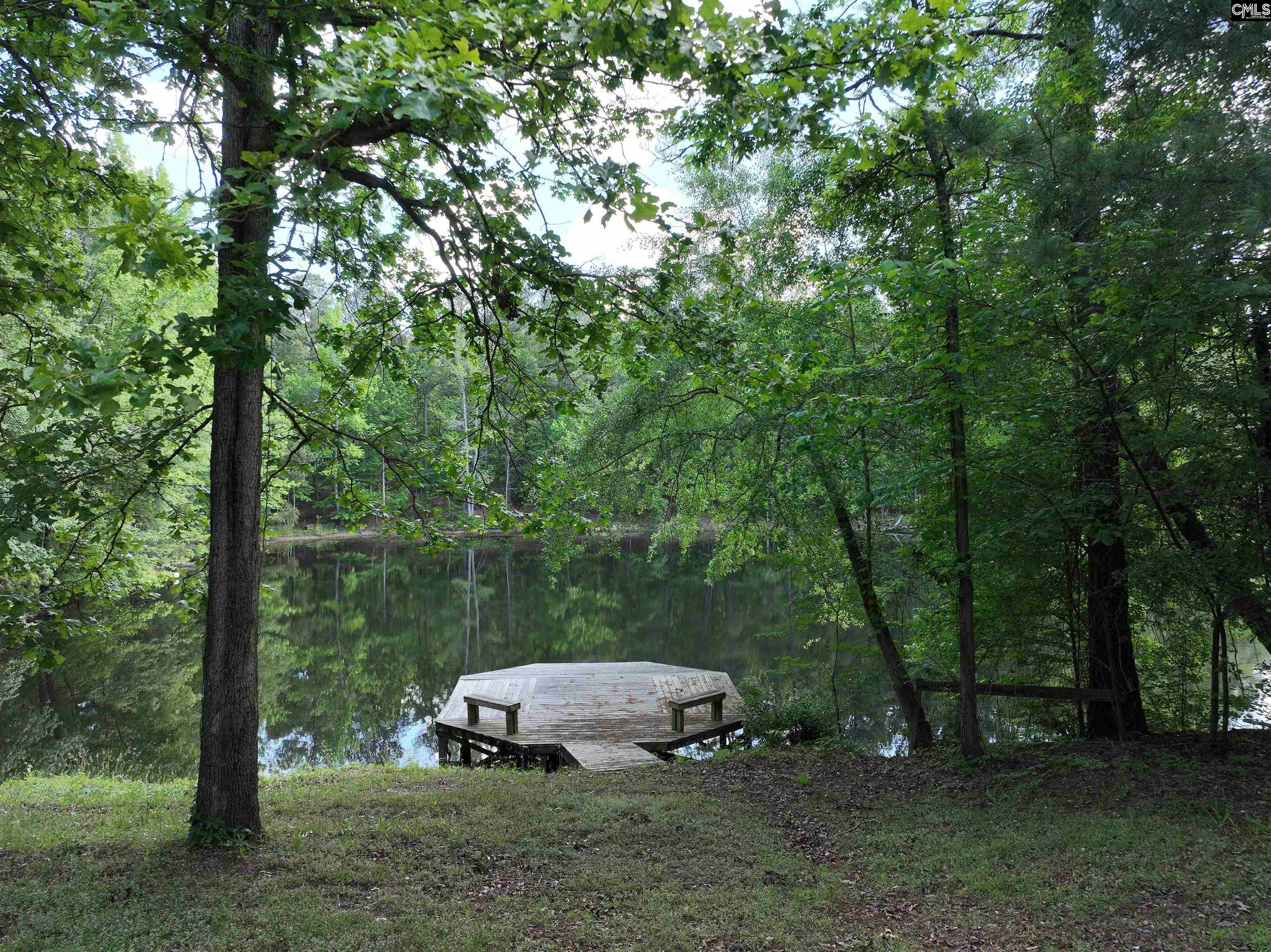 11334 North Road, North, South Carolina image 36