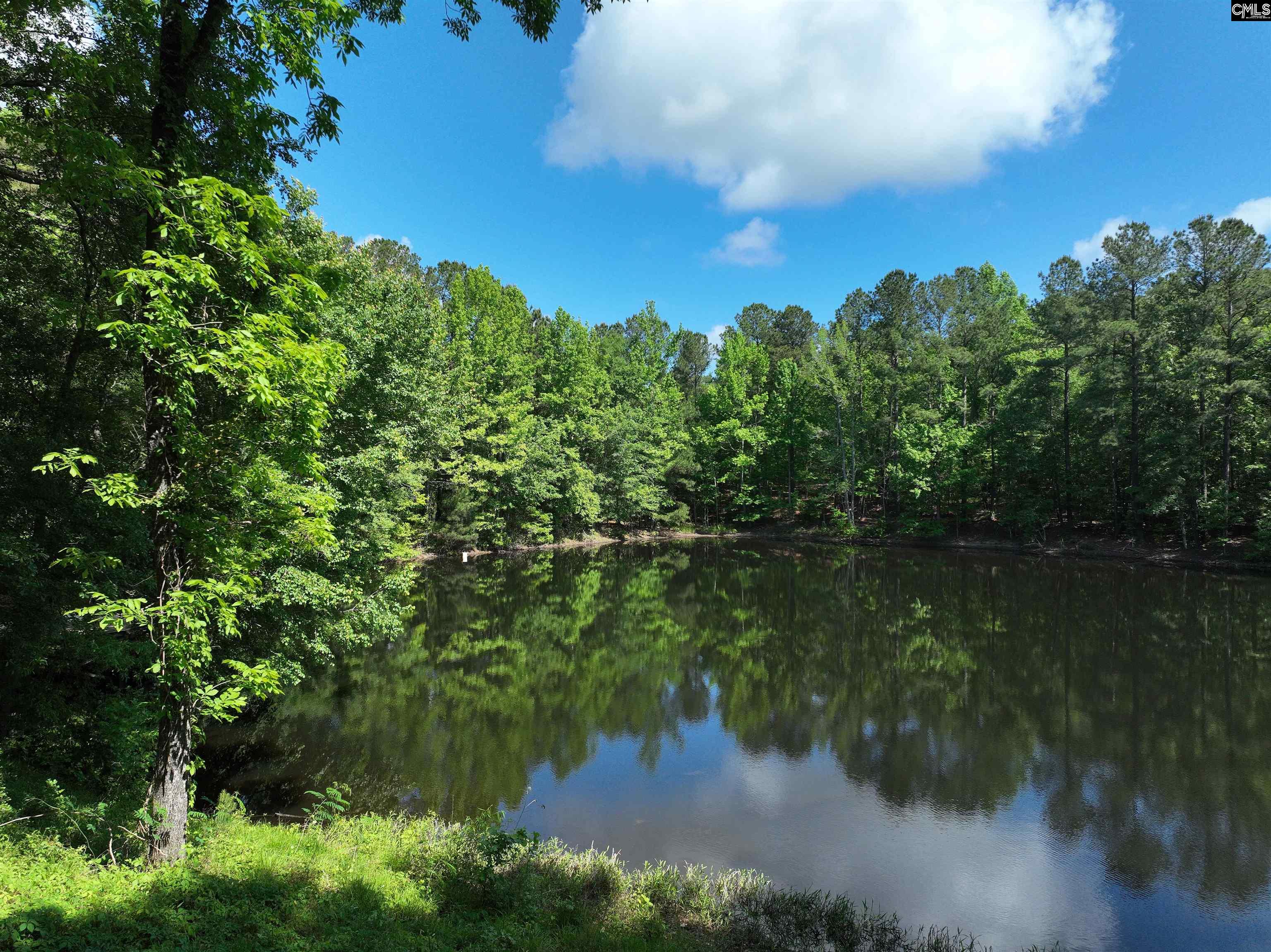 11334 North Road, North, South Carolina image 37