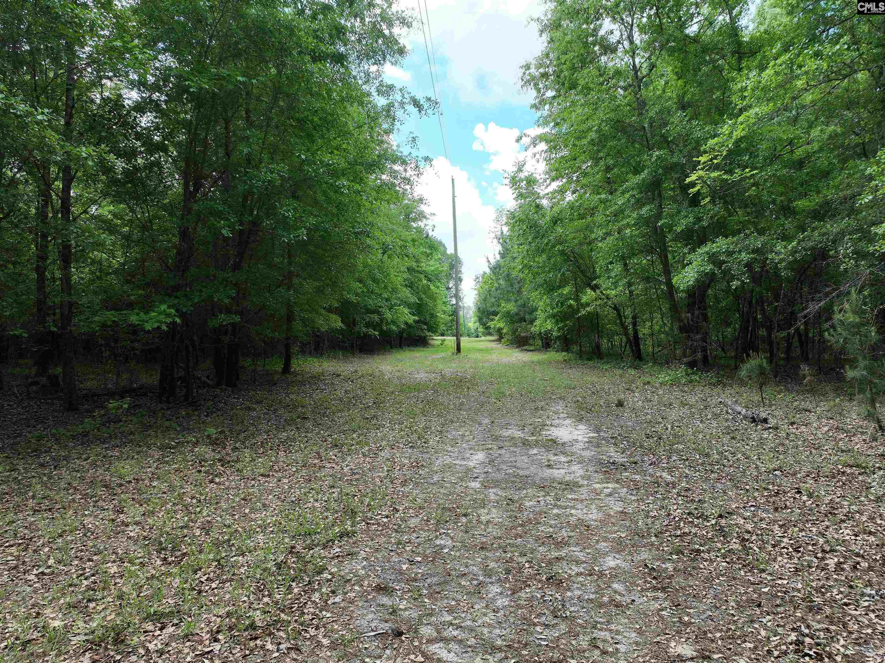 11334 North Road, North, South Carolina image 44