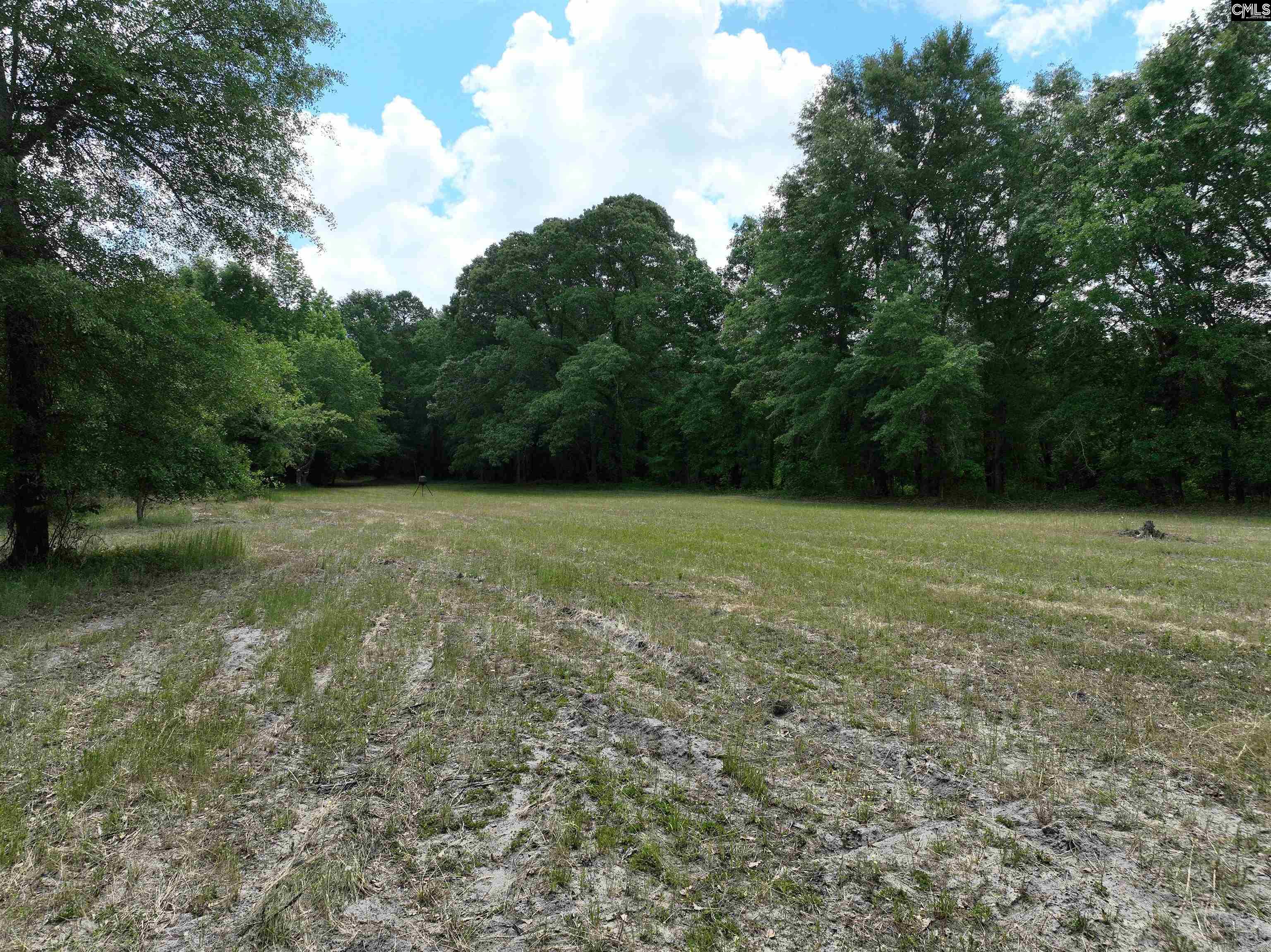 11334 North Road, North, South Carolina image 45
