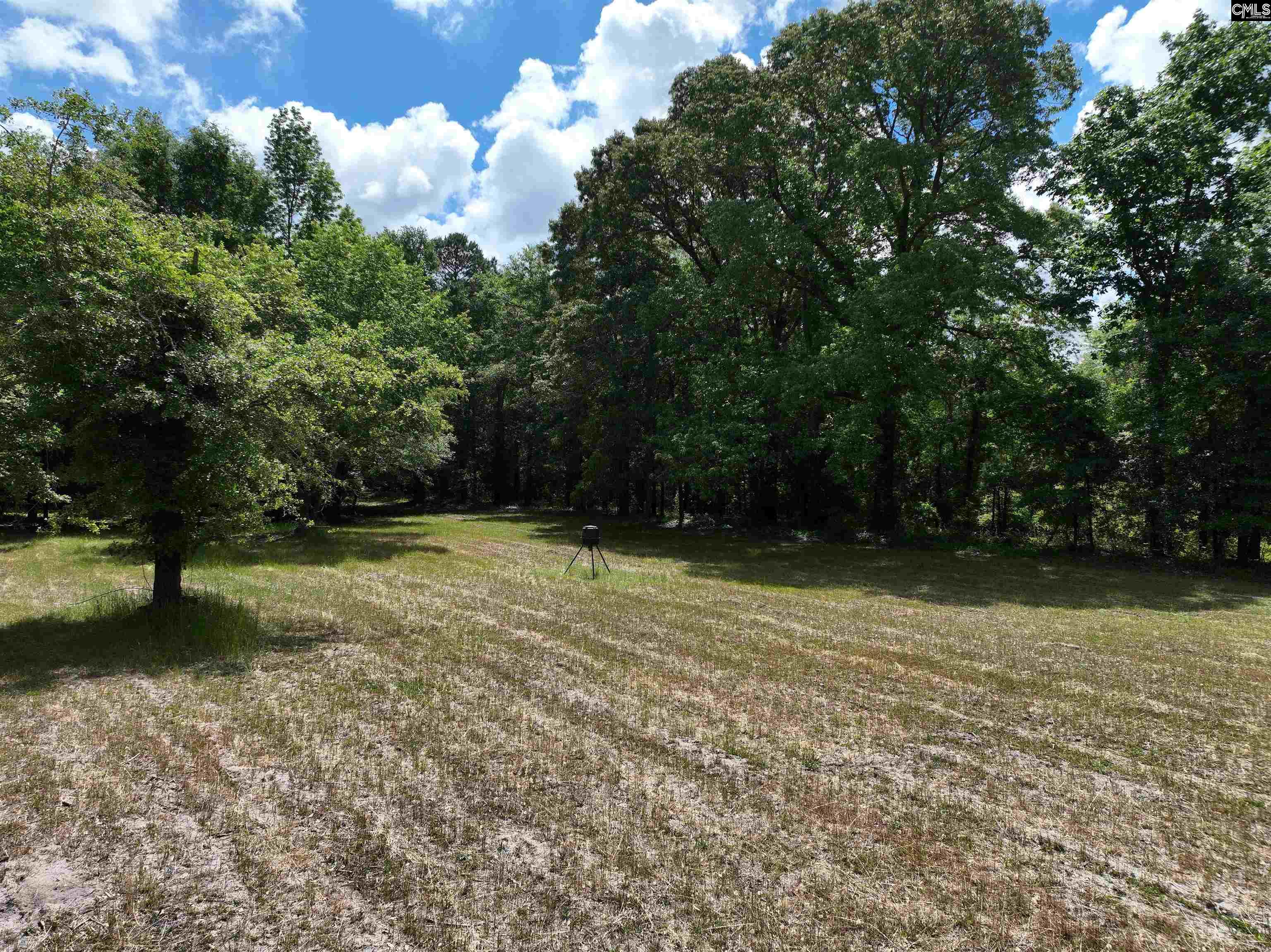 11334 North Road, North, South Carolina image 47