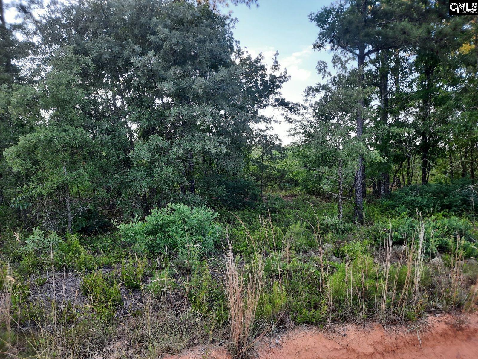 TBD Hutto Pond Road, Aiken, South Carolina image 1
