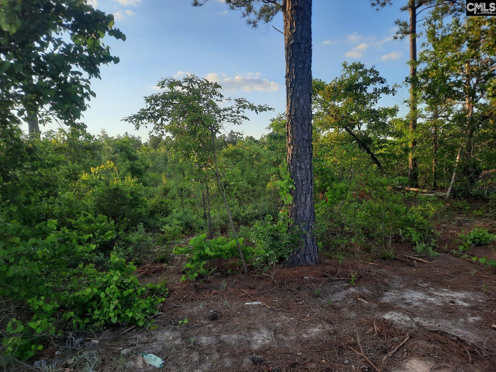 TBD Hutto Pond Road, Aiken, South Carolina image 3