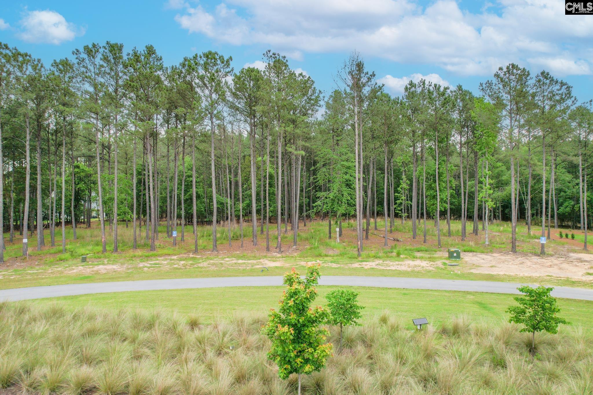 153 Stewart Landing Drive Unit #122 Prosperity, SC 29127