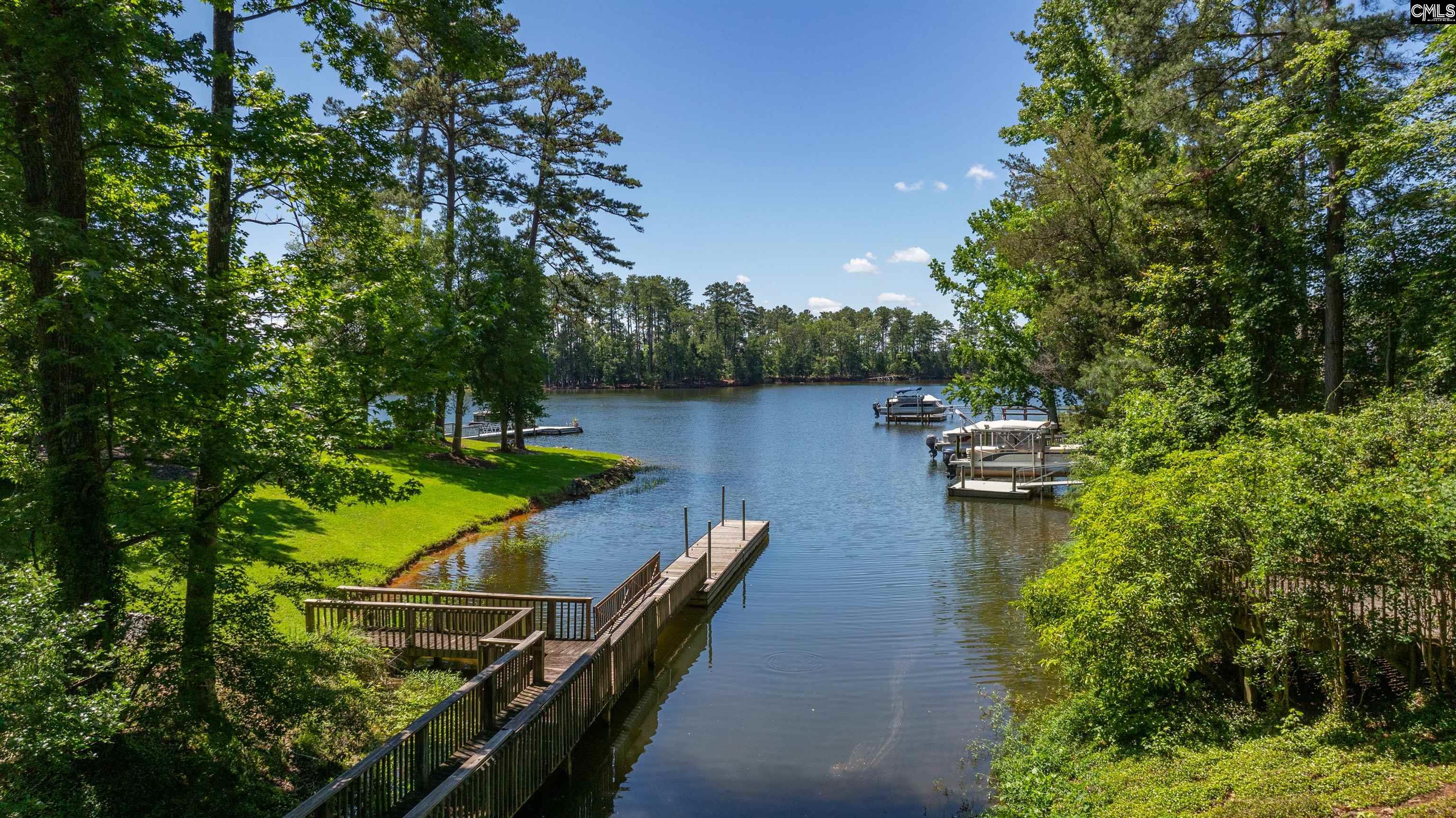 113 Lake Forest Trail, Chapin, SC 29036 Listing Photo 3