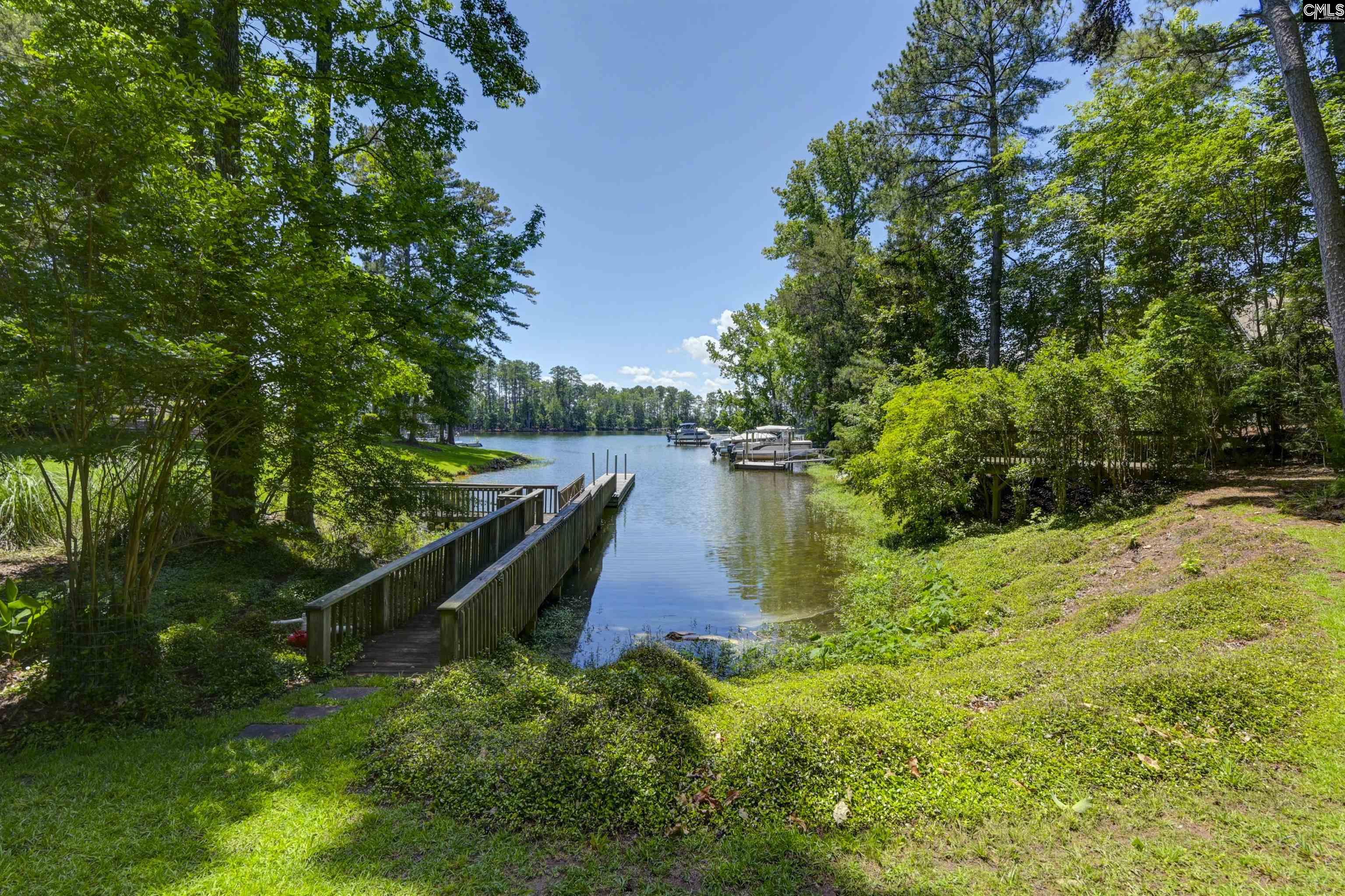 113 Lake Forest Trail, Chapin, SC 29036 Listing Photo 68