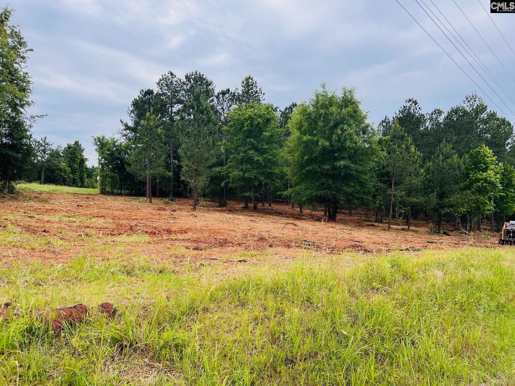 2609 Pierce Boozer Loop Road UNIT #1 Prosperity, SC 29127