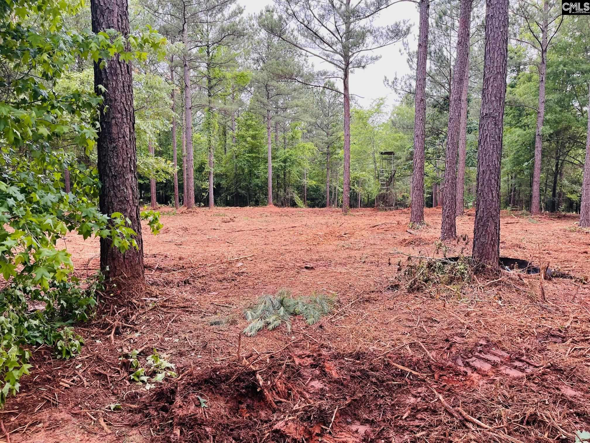 2559 Pierce Boozer Loop Road Unit #2 Prosperity, SC 29127