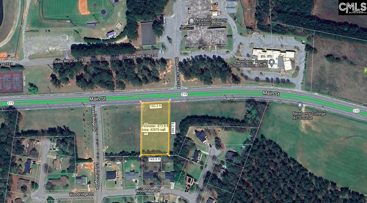 Main St/hwy 219, Newberry, South Carolina image 2