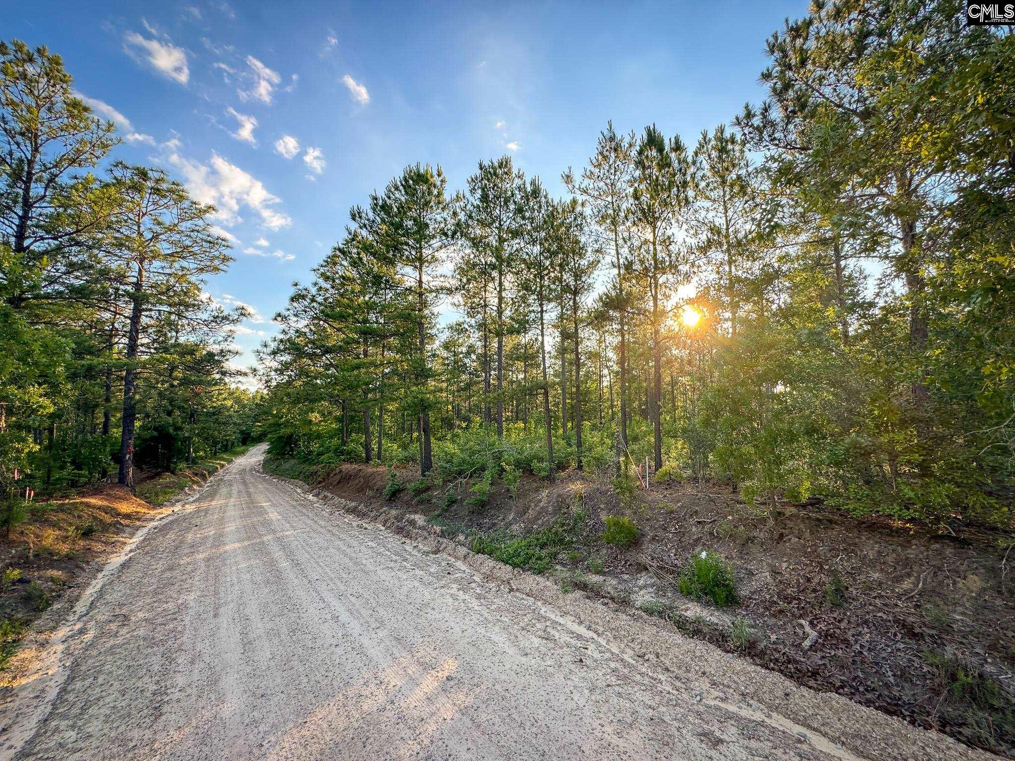 340 Tarpon Road #LOT 8, Leesville, South Carolina image 2