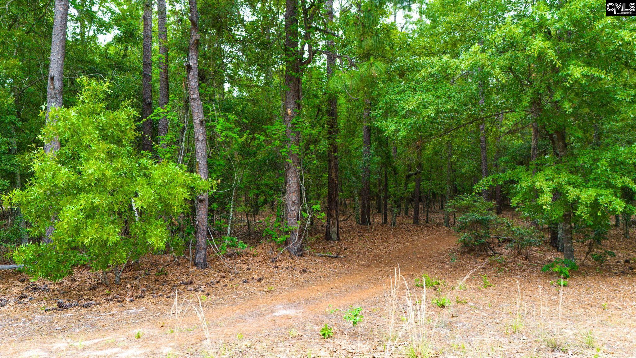 648 Calvary Church Road Swansea, SC 29160