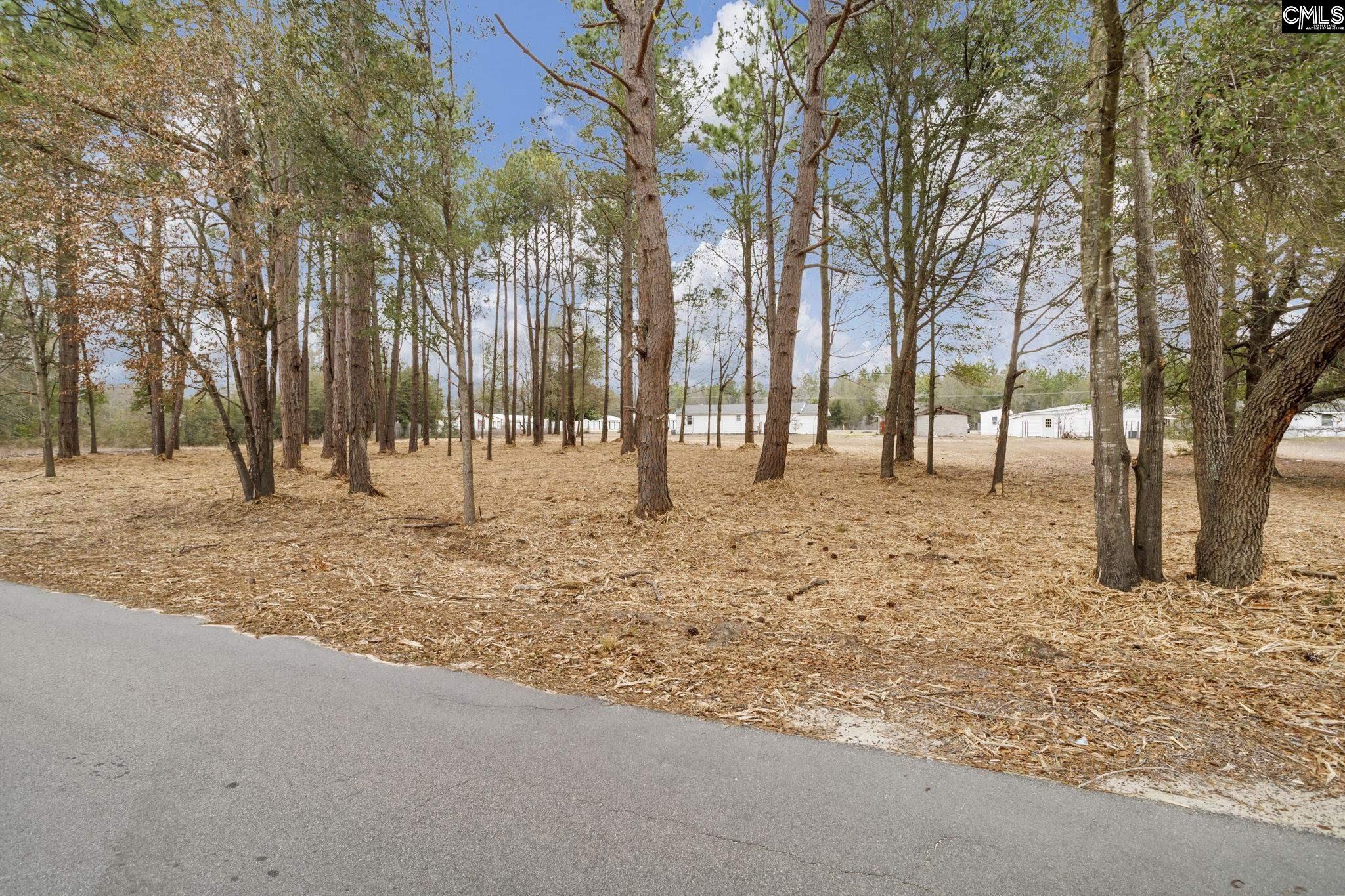 Tbd Thornridge Road Wagener, SC 29164