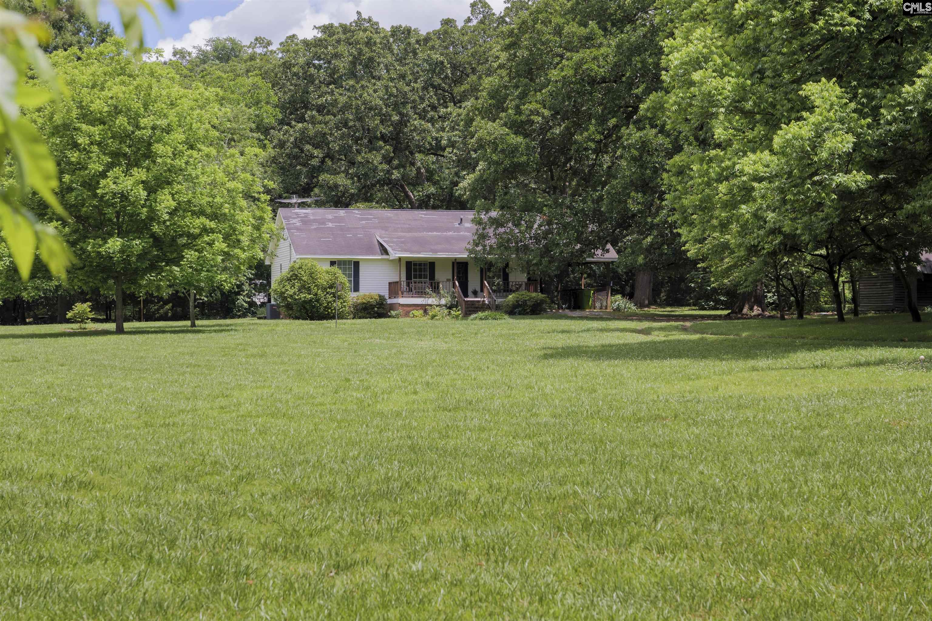 109 & 111 George Lowman Road Chapin, SC 29036