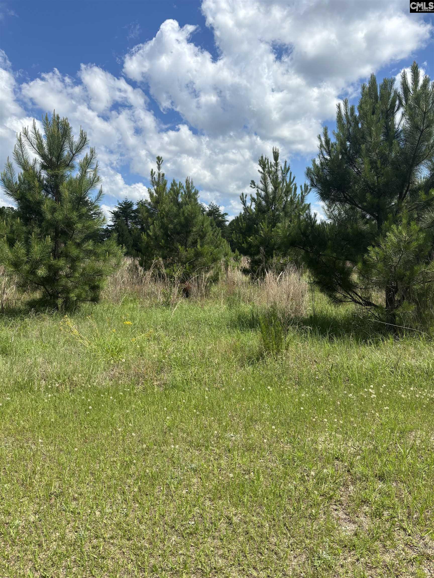 7235 Harvest Road Unit #5 Rembert, SC 29128