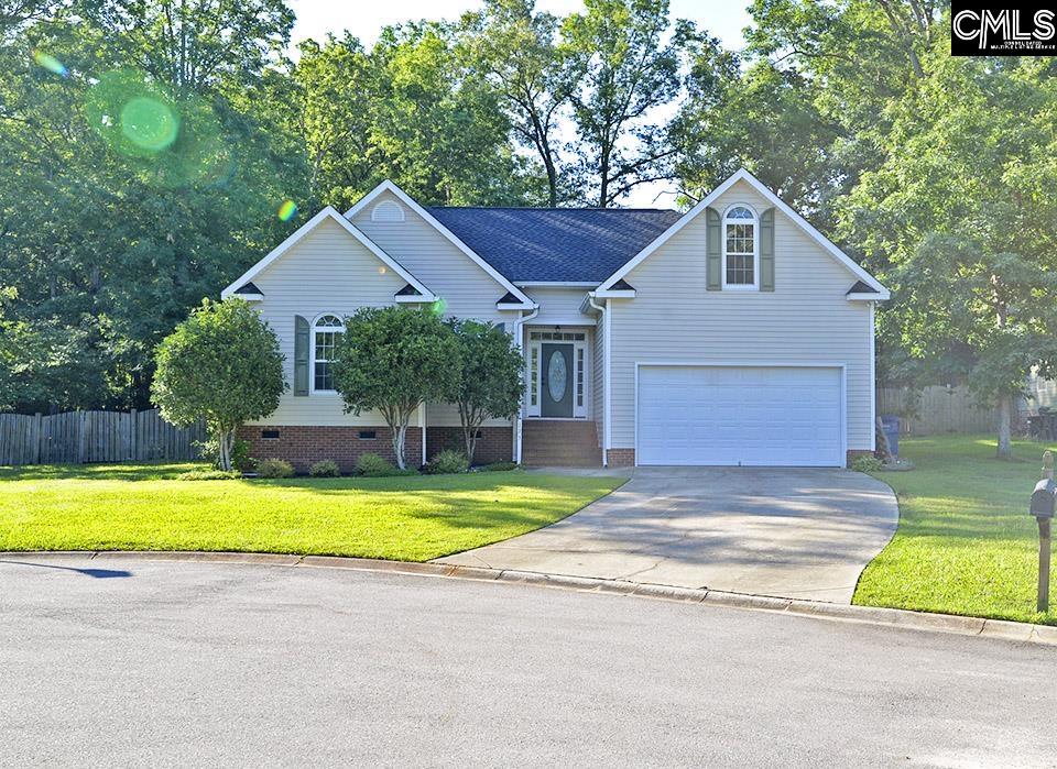 123 Moyer Drive Chapin, SC 29036
