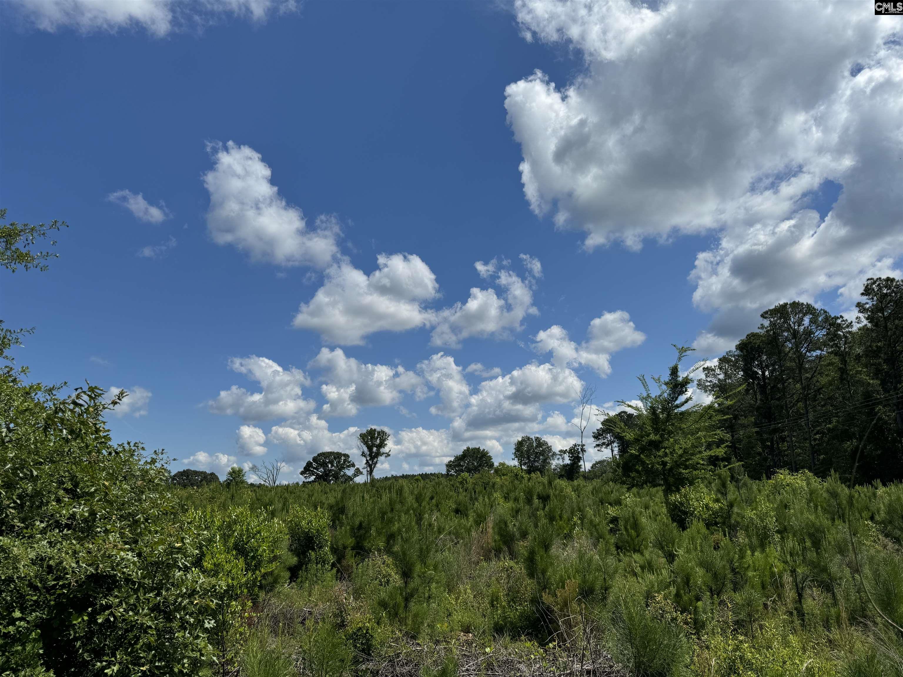 Peach Orchard Road, Dalzell, South Carolina image 4