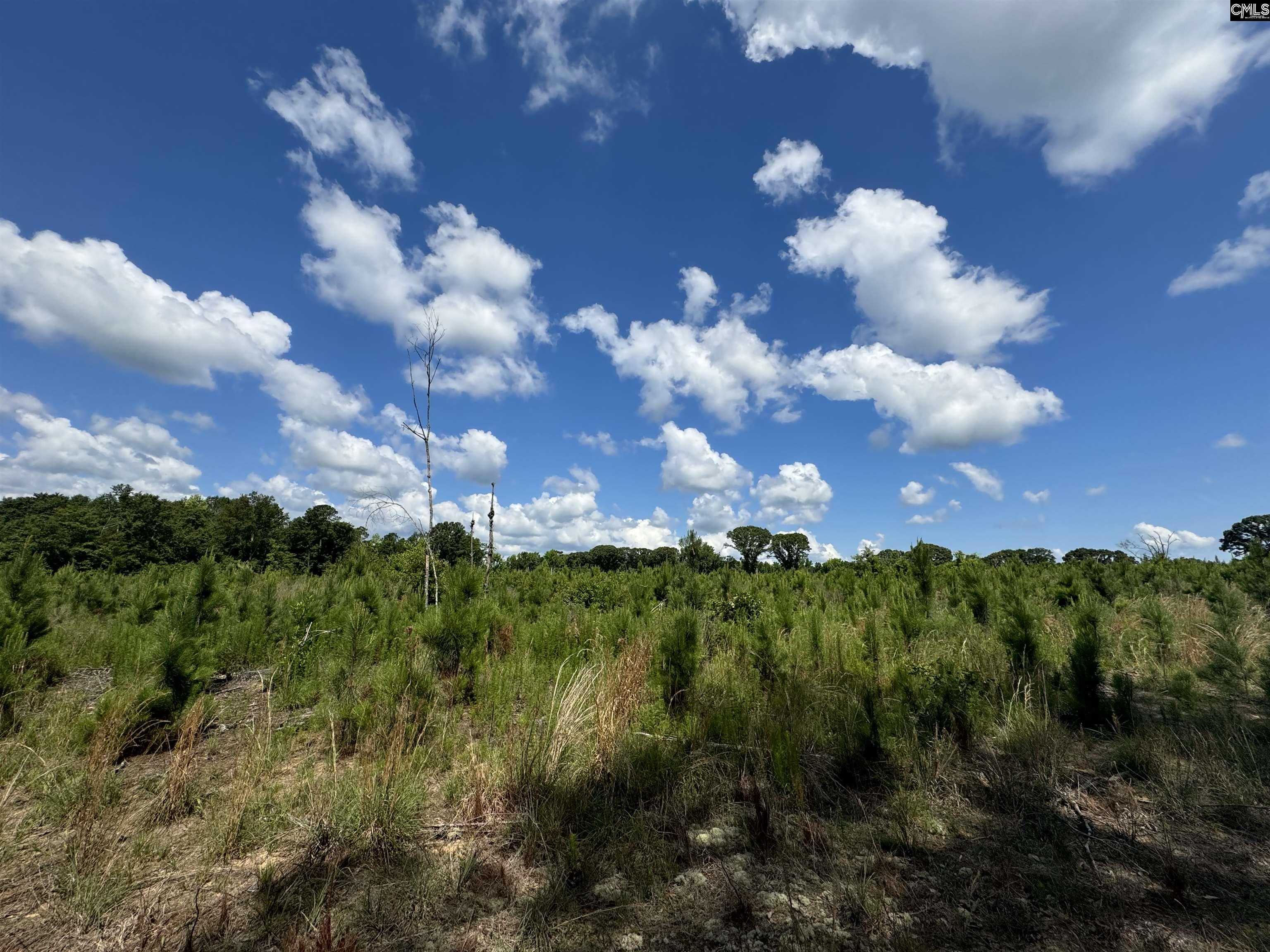 Peach Orchard Road, Dalzell, South Carolina image 1