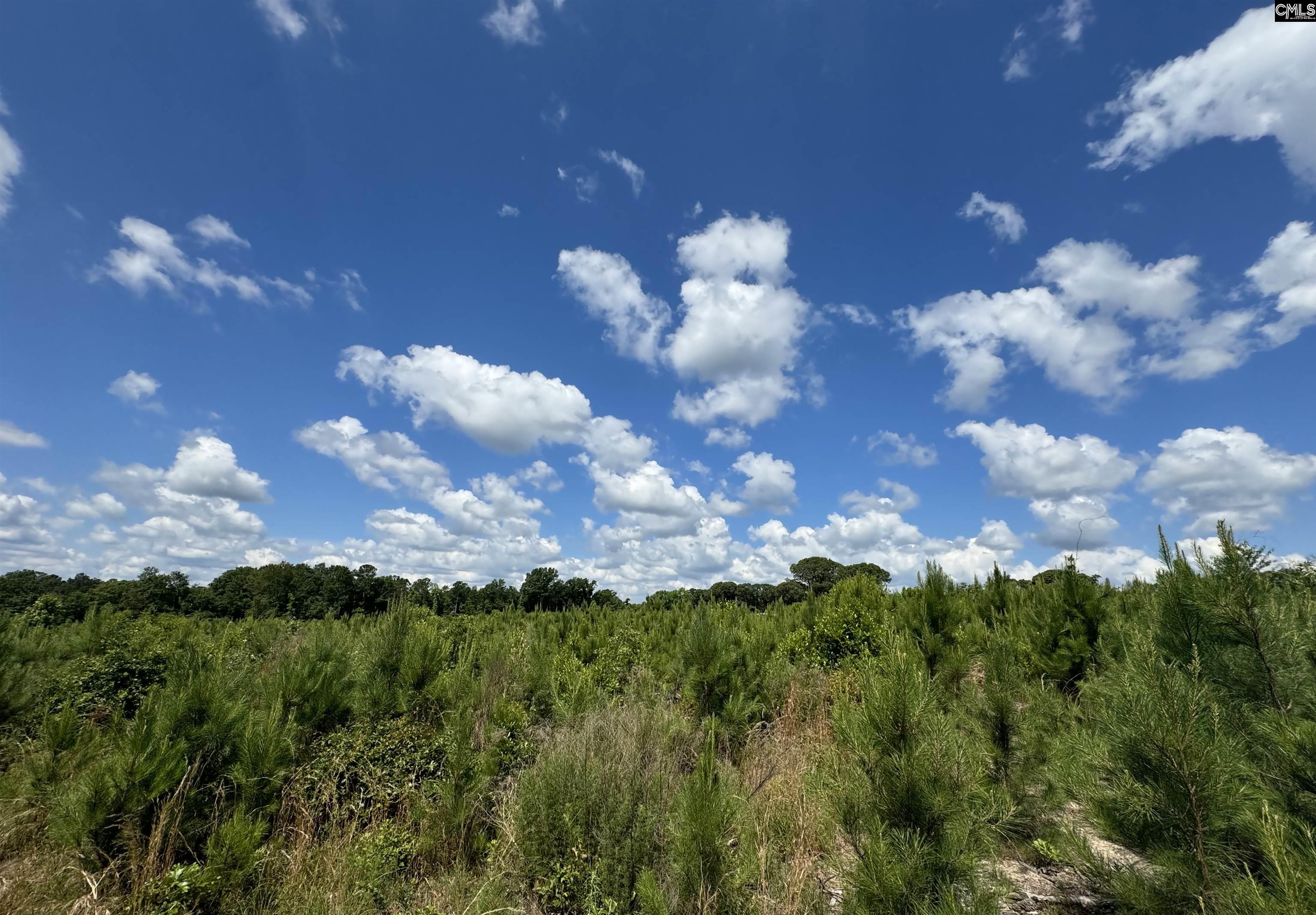 Peach Orchard Road, Dalzell, South Carolina image 2