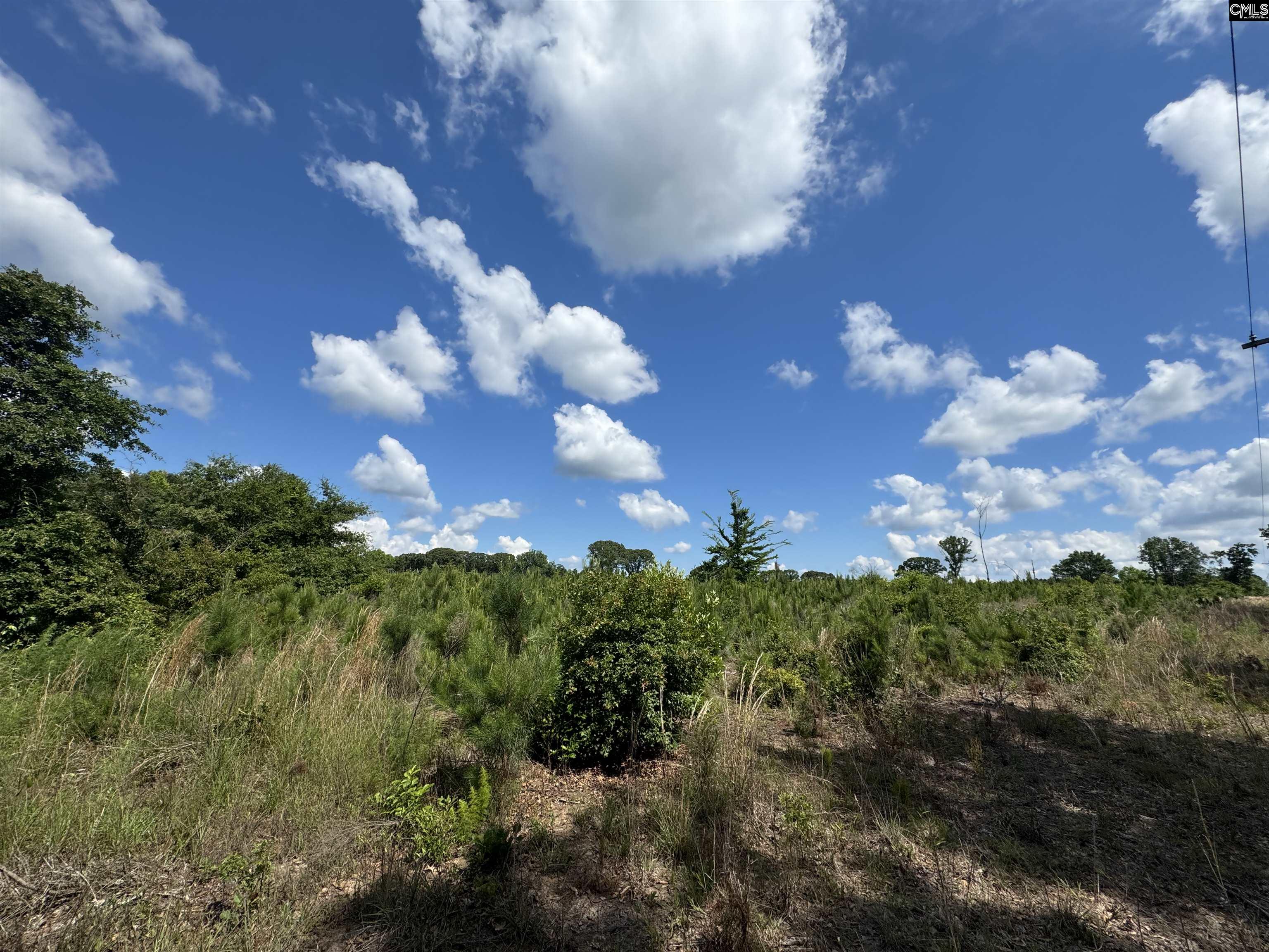 Peach Orchard Road, Dalzell, South Carolina image 3