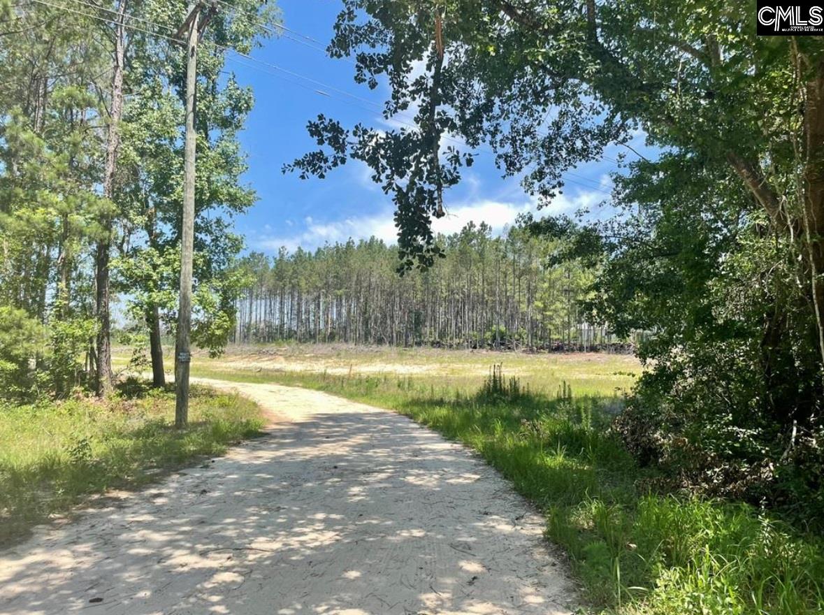 Peach Orchard Road, Dalzell, South Carolina image 1