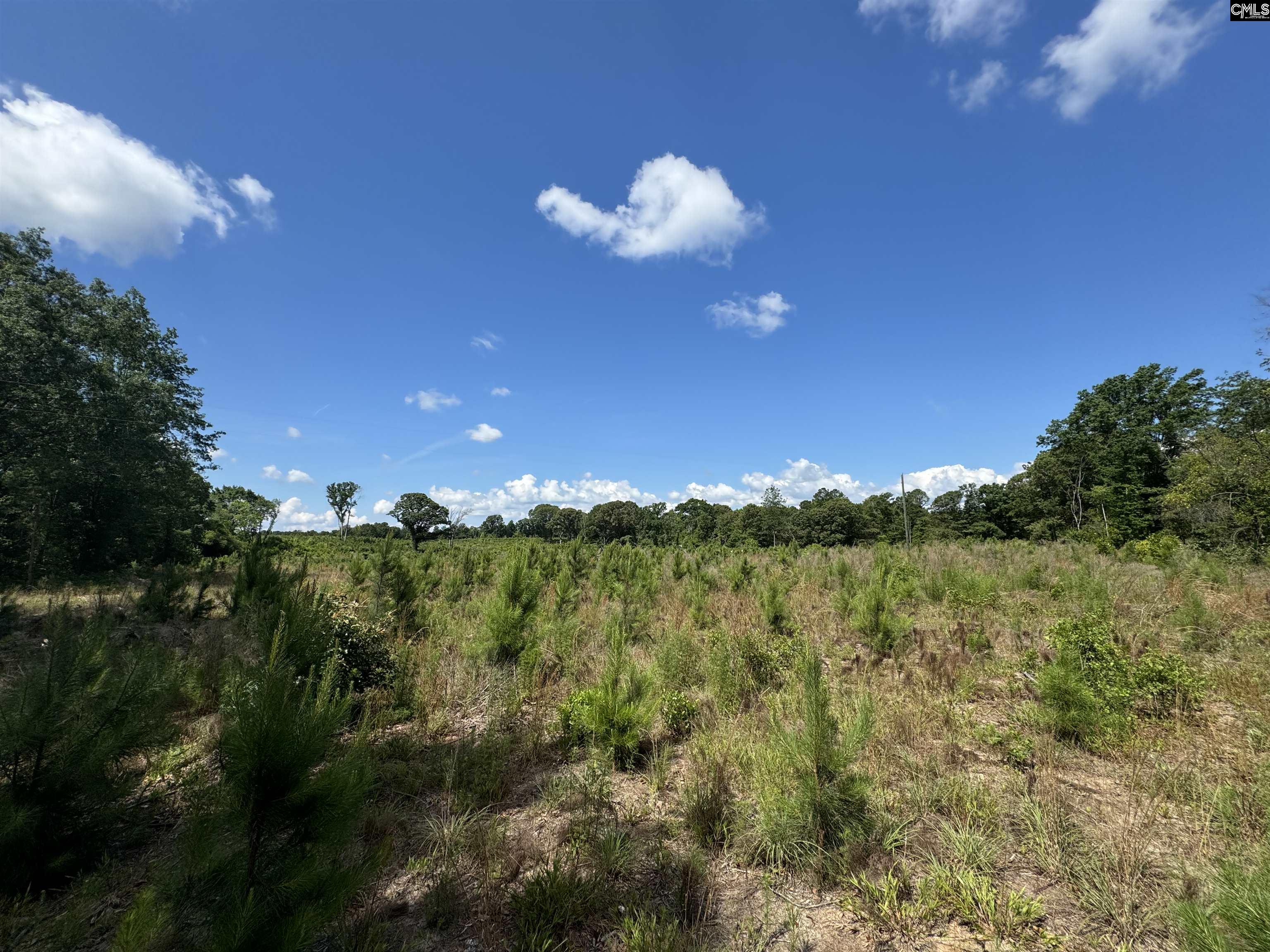 Peach Orchard Road, Dalzell, South Carolina image 2