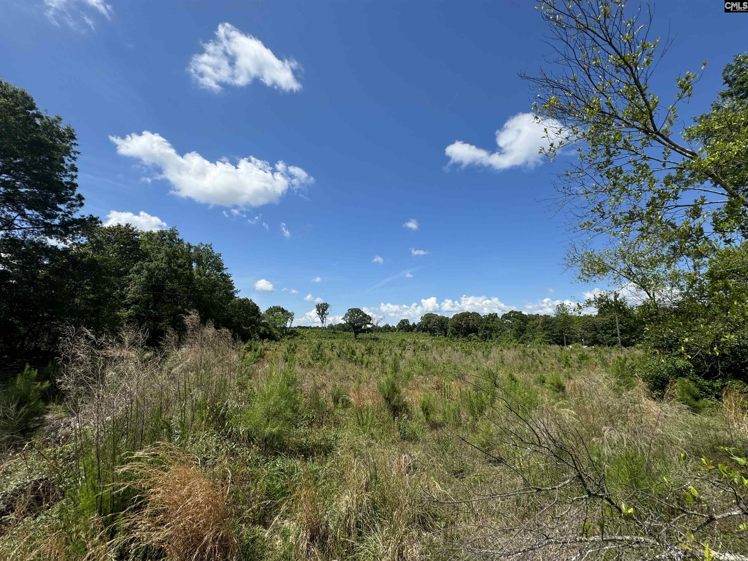Peach Orchard Road, Dalzell, South Carolina image 3
