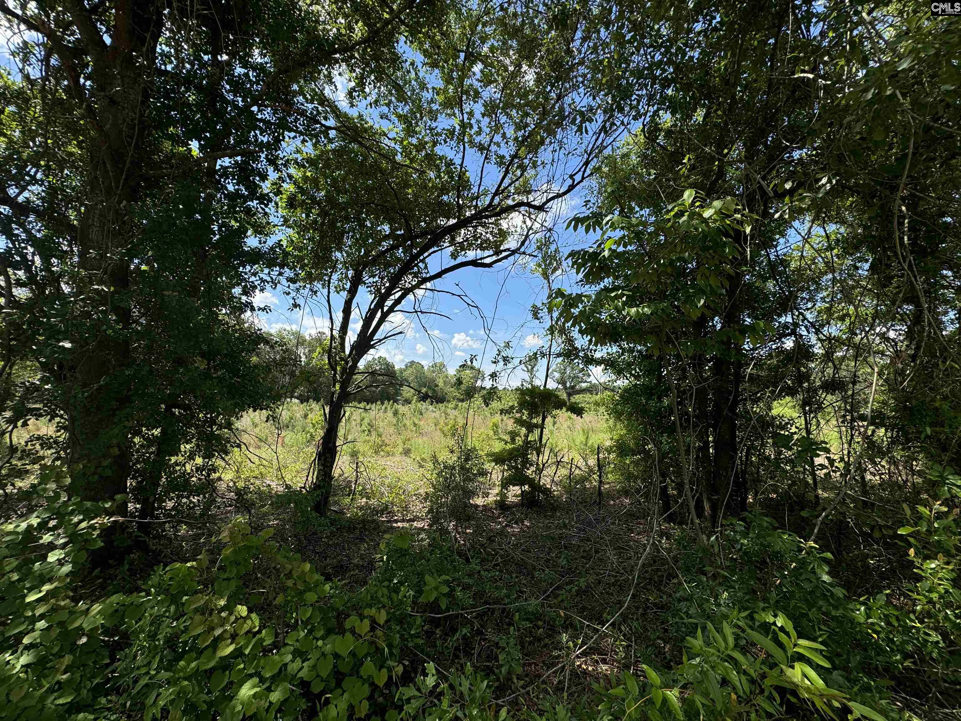 Peach Orchard Road, Dalzell, South Carolina image 4